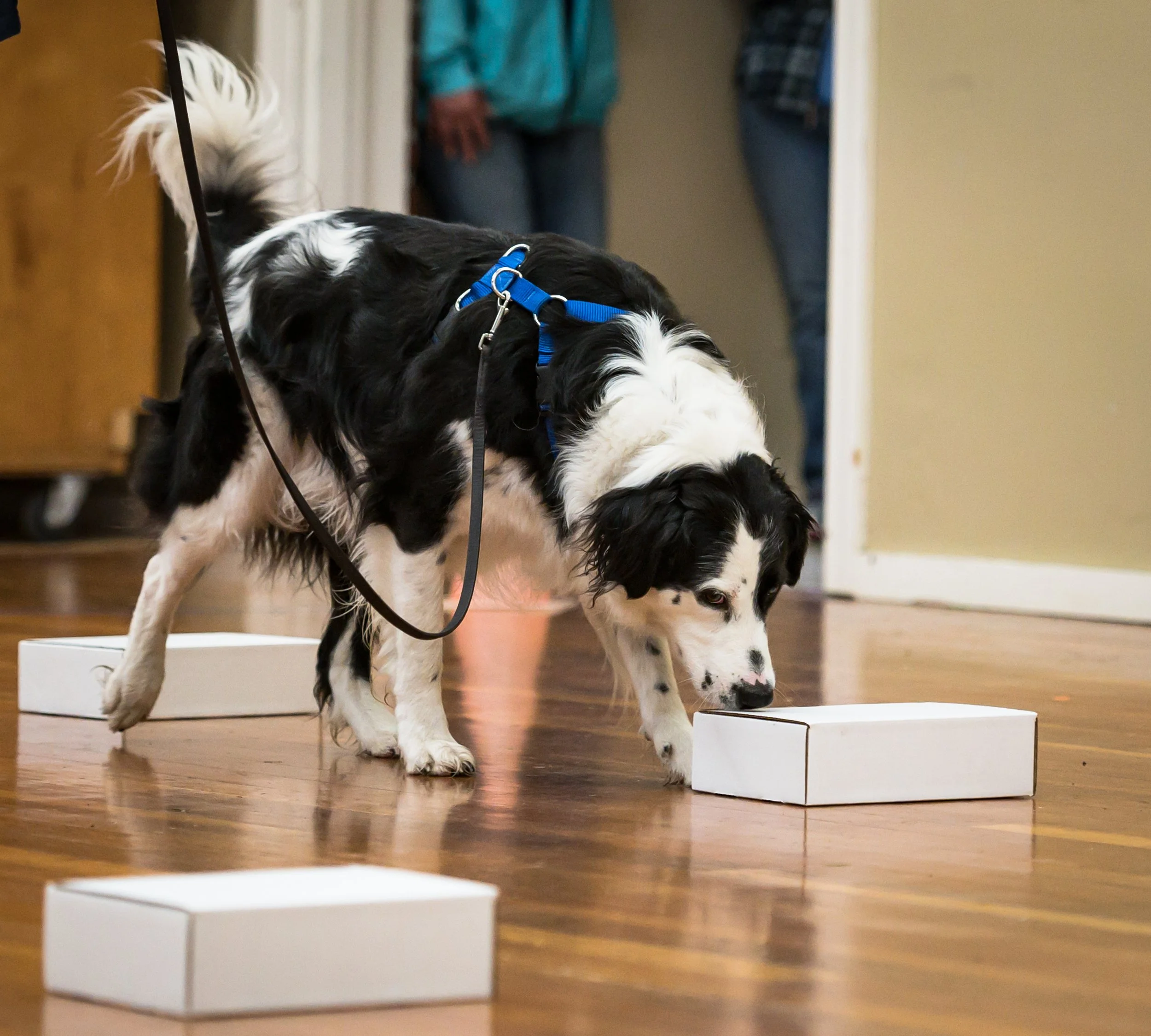 NACSW ORT 5/31/ 2026