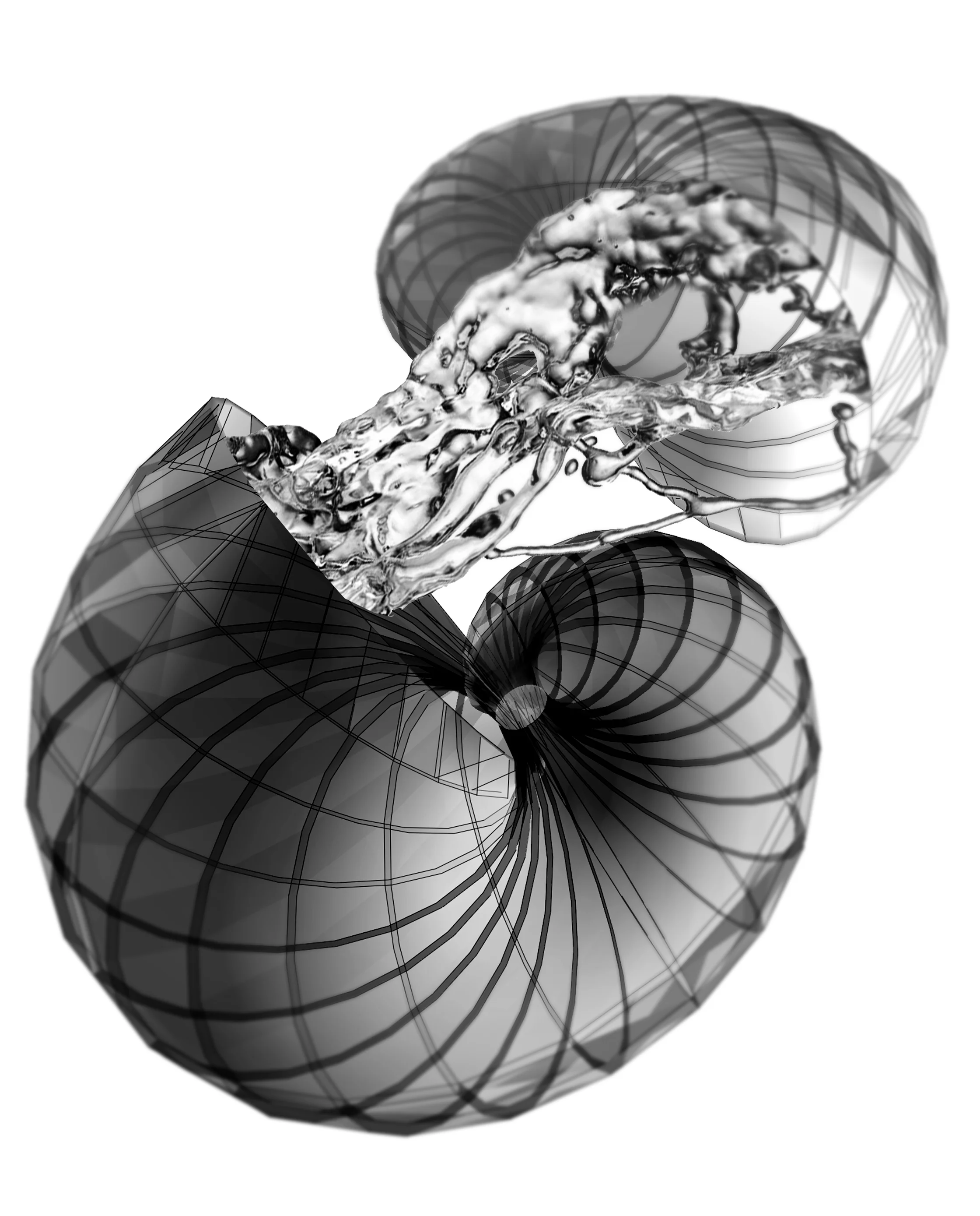 caracolesbn.jpg