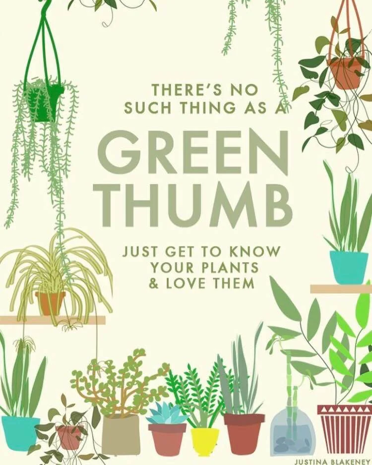 Artwork by Justina Blakeney