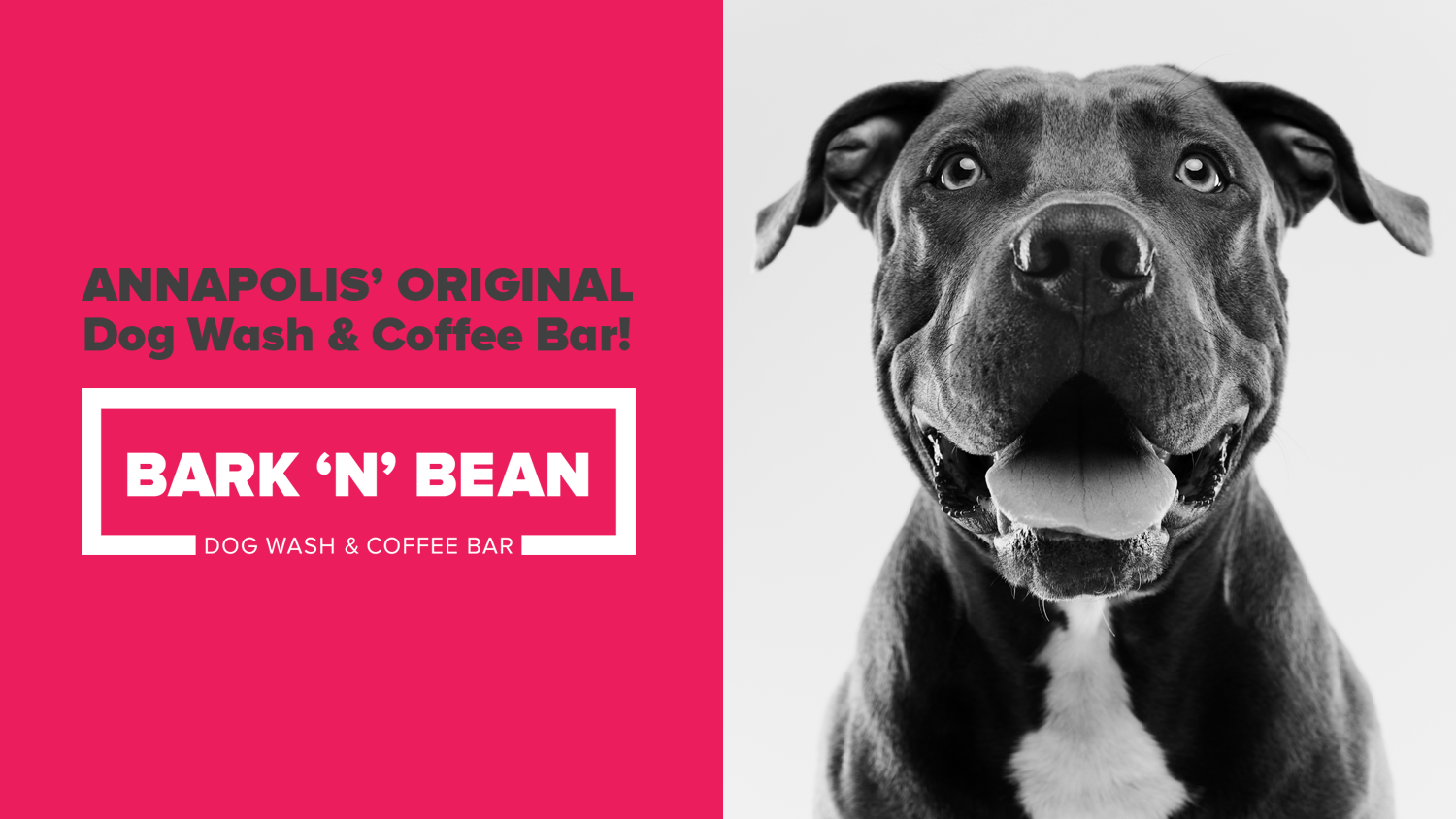 Bark 'N' Bean Dog Wash & Coffee Bar