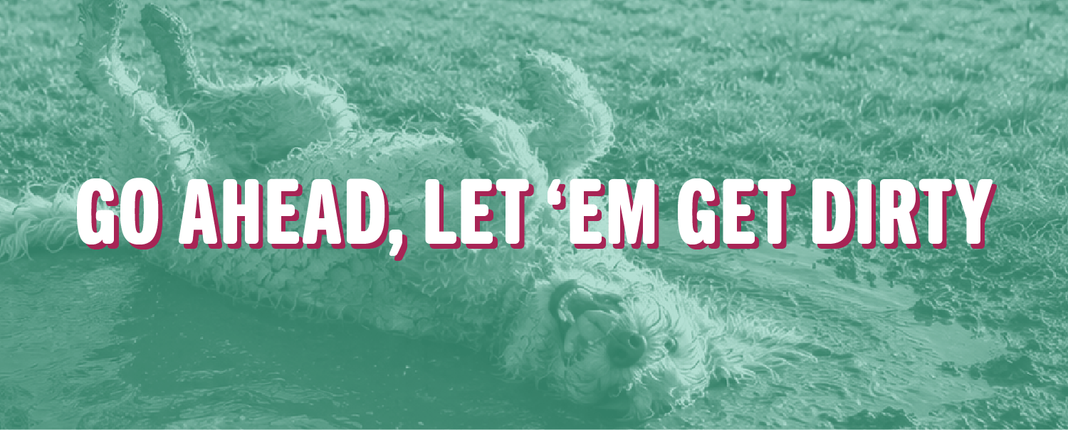Dog rolling in the mud with the headline "Go Ahead, Let 'Em Get Dirty"