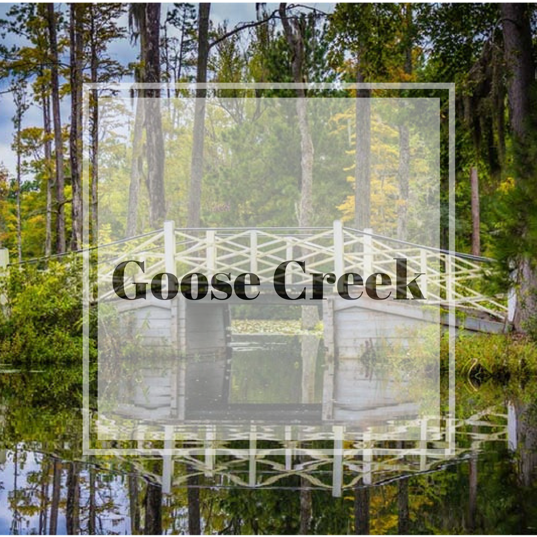 goose creek.png