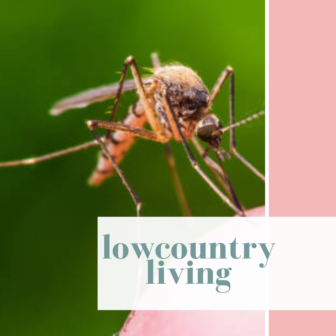 Tips and Tricks to Combat Mosquitoes and No See Ums
