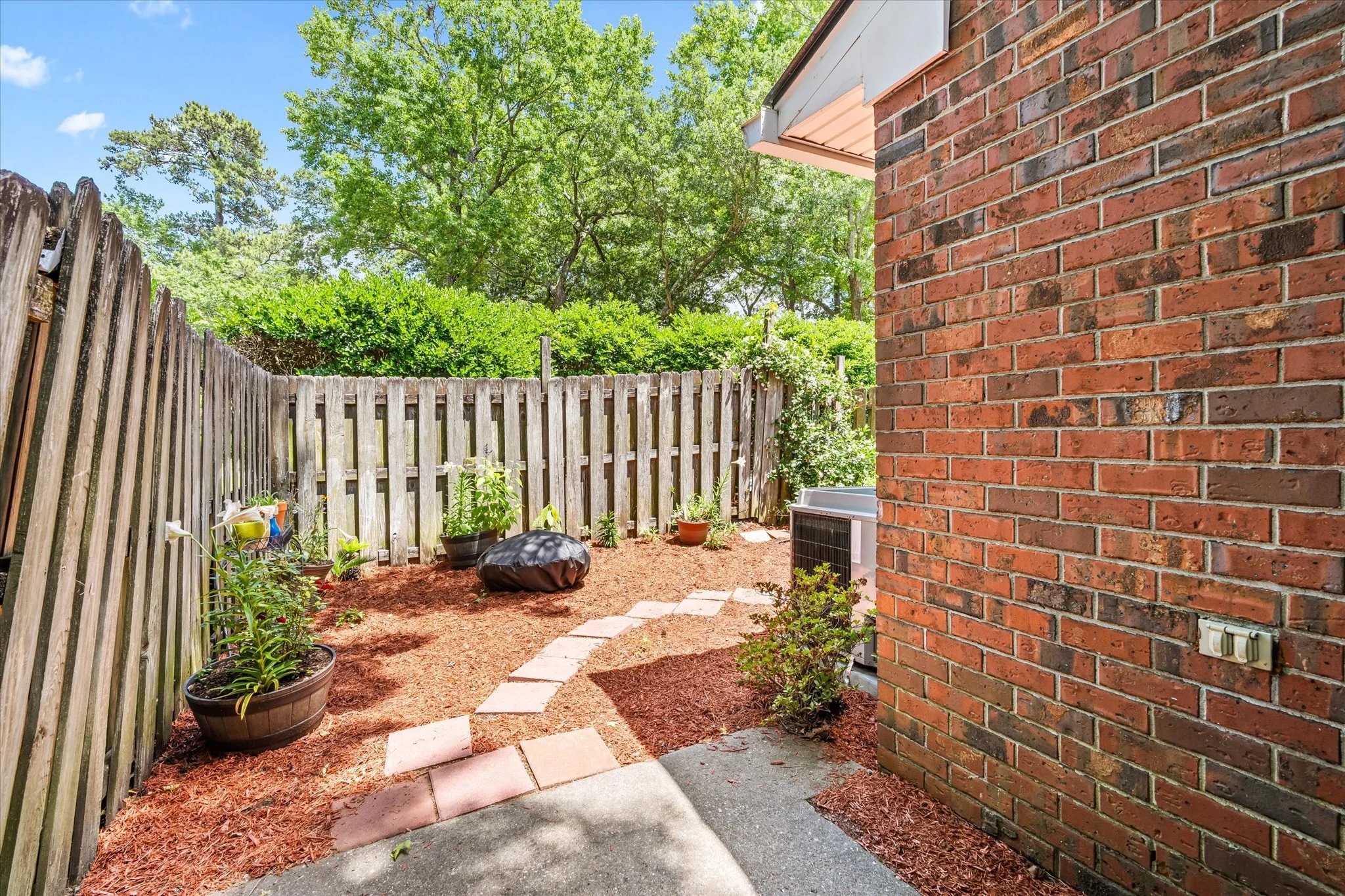 9 Back Yard.jpg