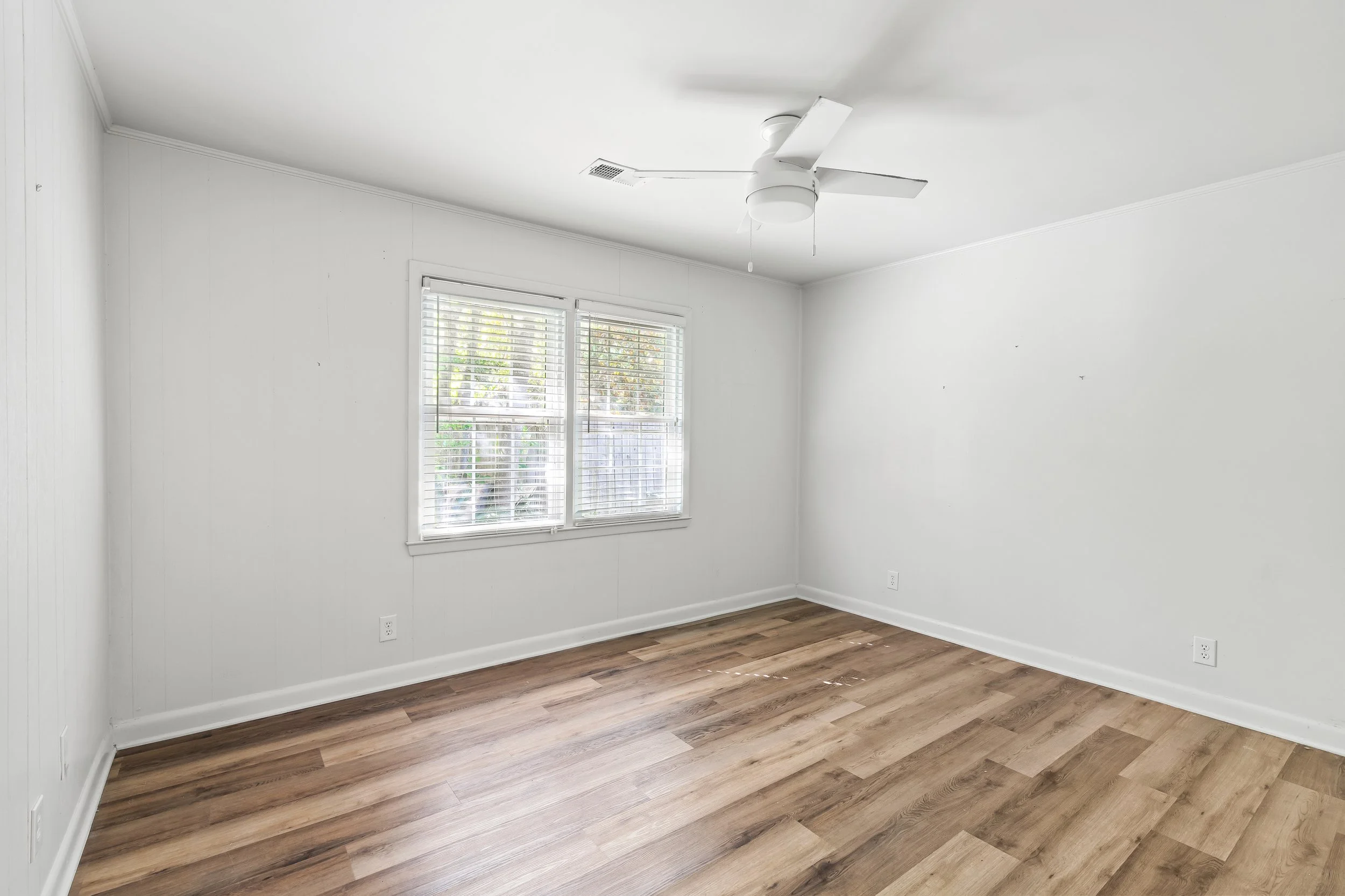 AR504489.JPG