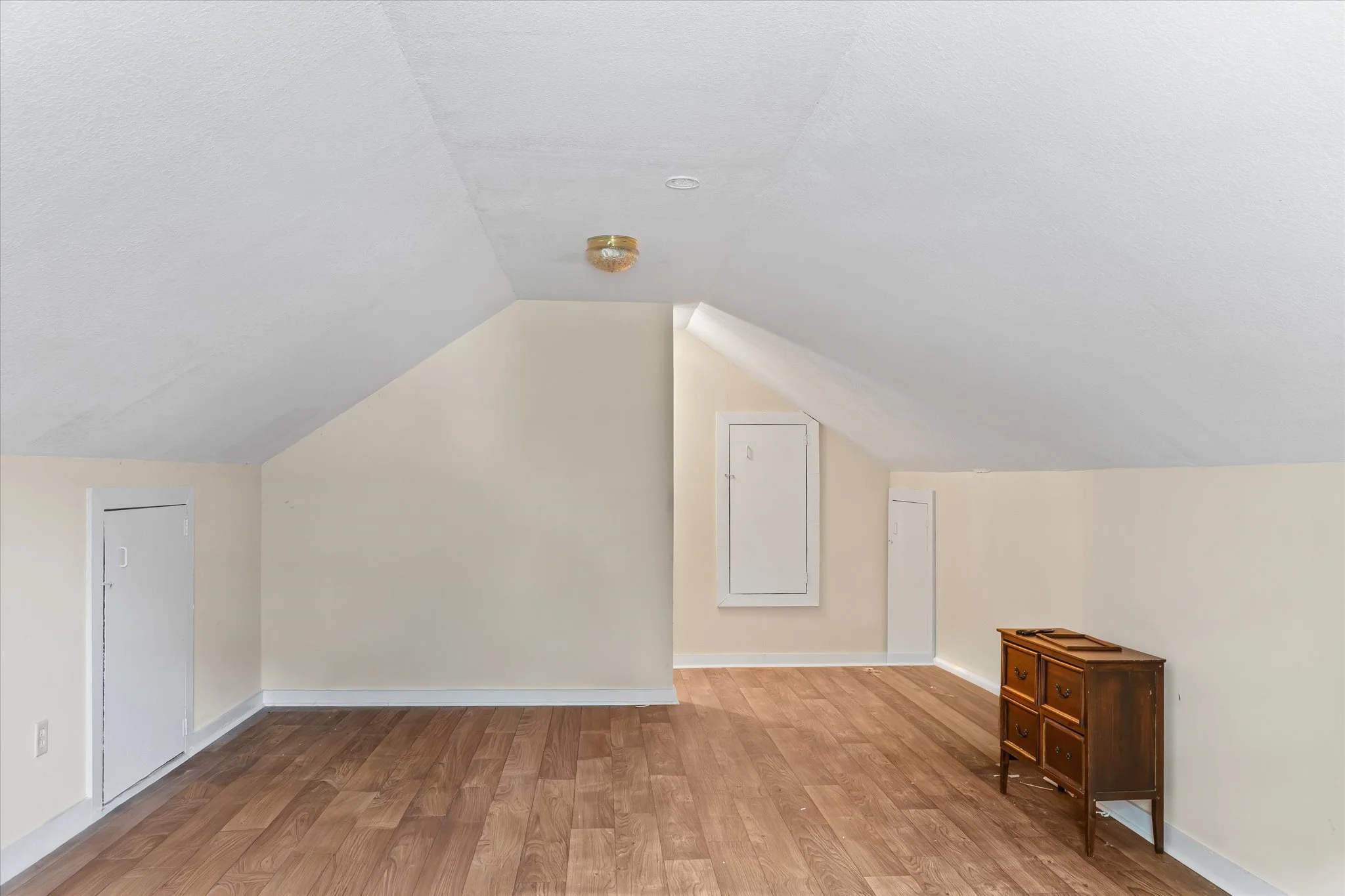 19-FROG & attic.jpg