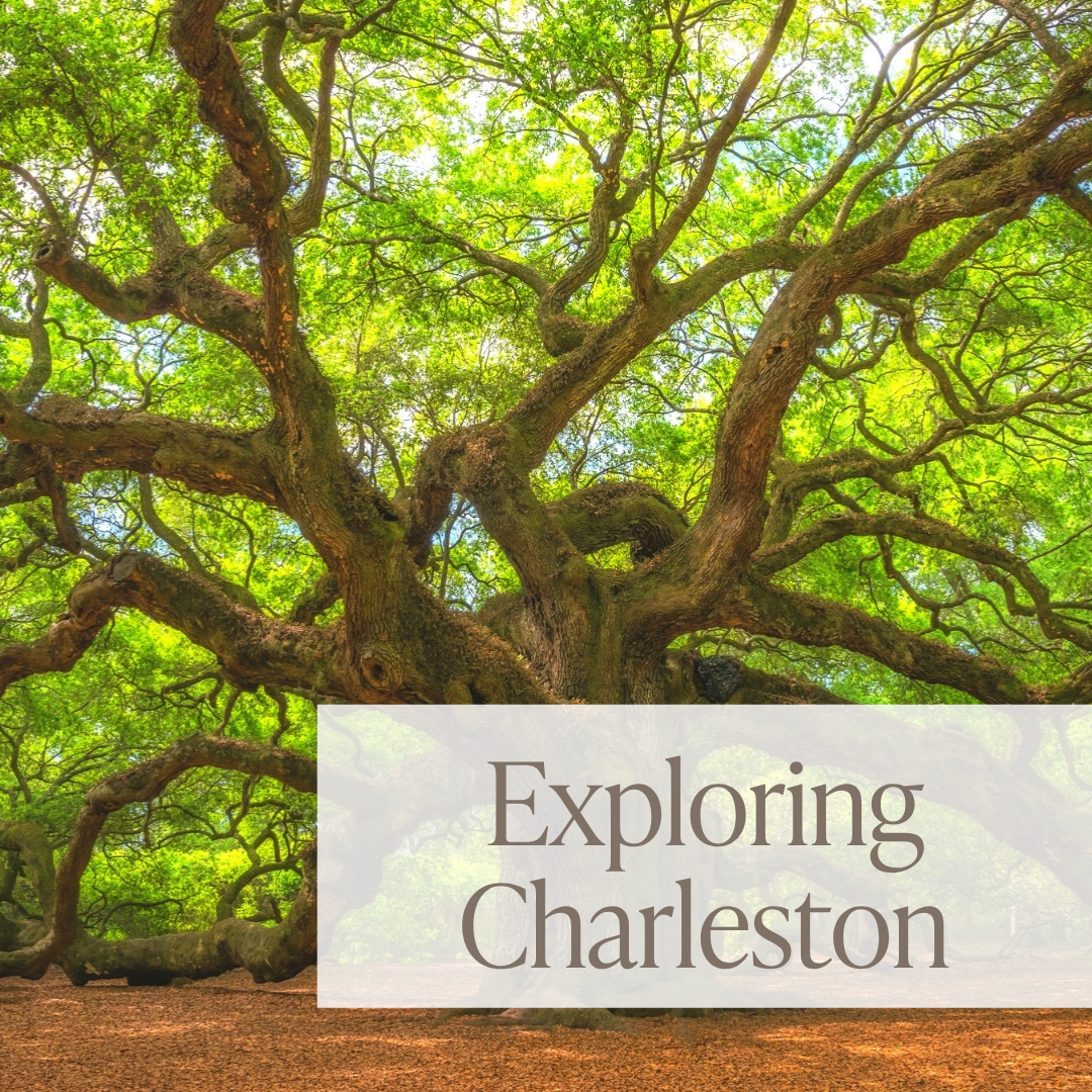 A Day on Johns Island