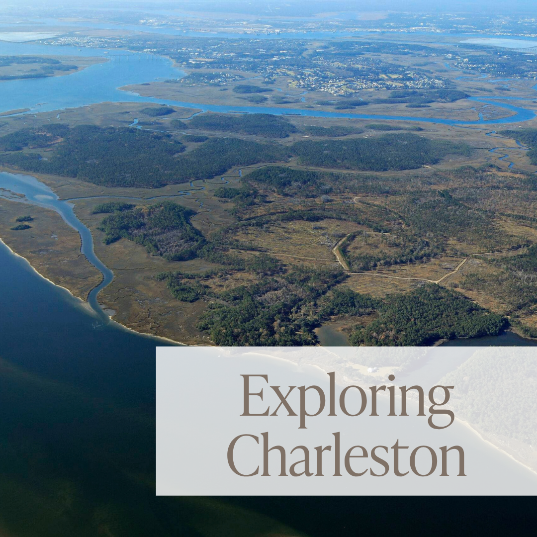 A Day in Wando/Cainhoy