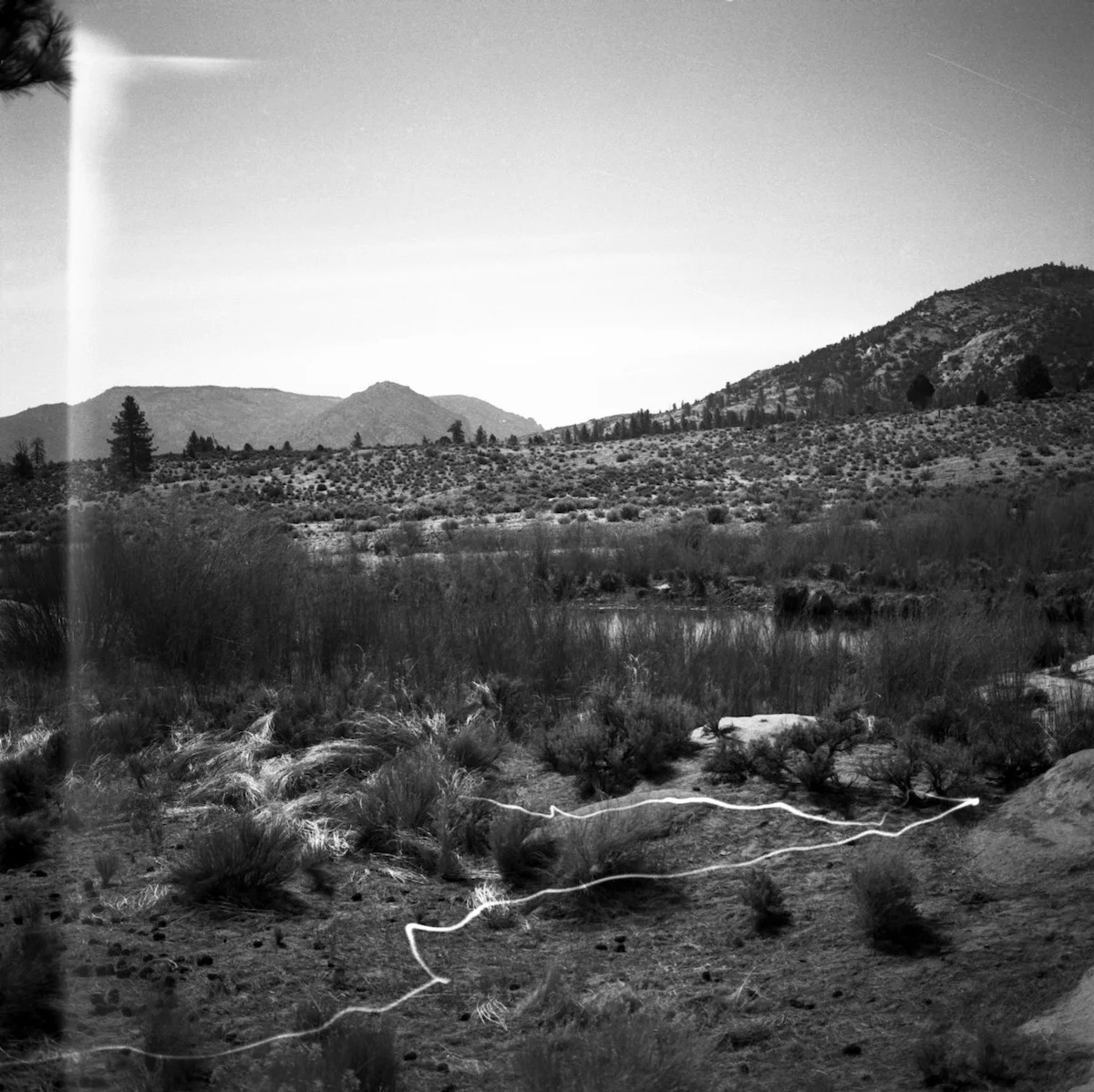 Francie_051 copy.jpg
