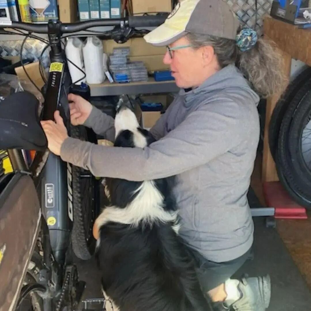 @tekapotoby is never far from Annie&rsquo;s side, lending a hand (paw) when needed.
Pop into the workshop for any bike repairs, tubes and a chat about anything bike!
#biketekapo #bepokebiketours #laketekapo #bikerepairs #tekapotoby