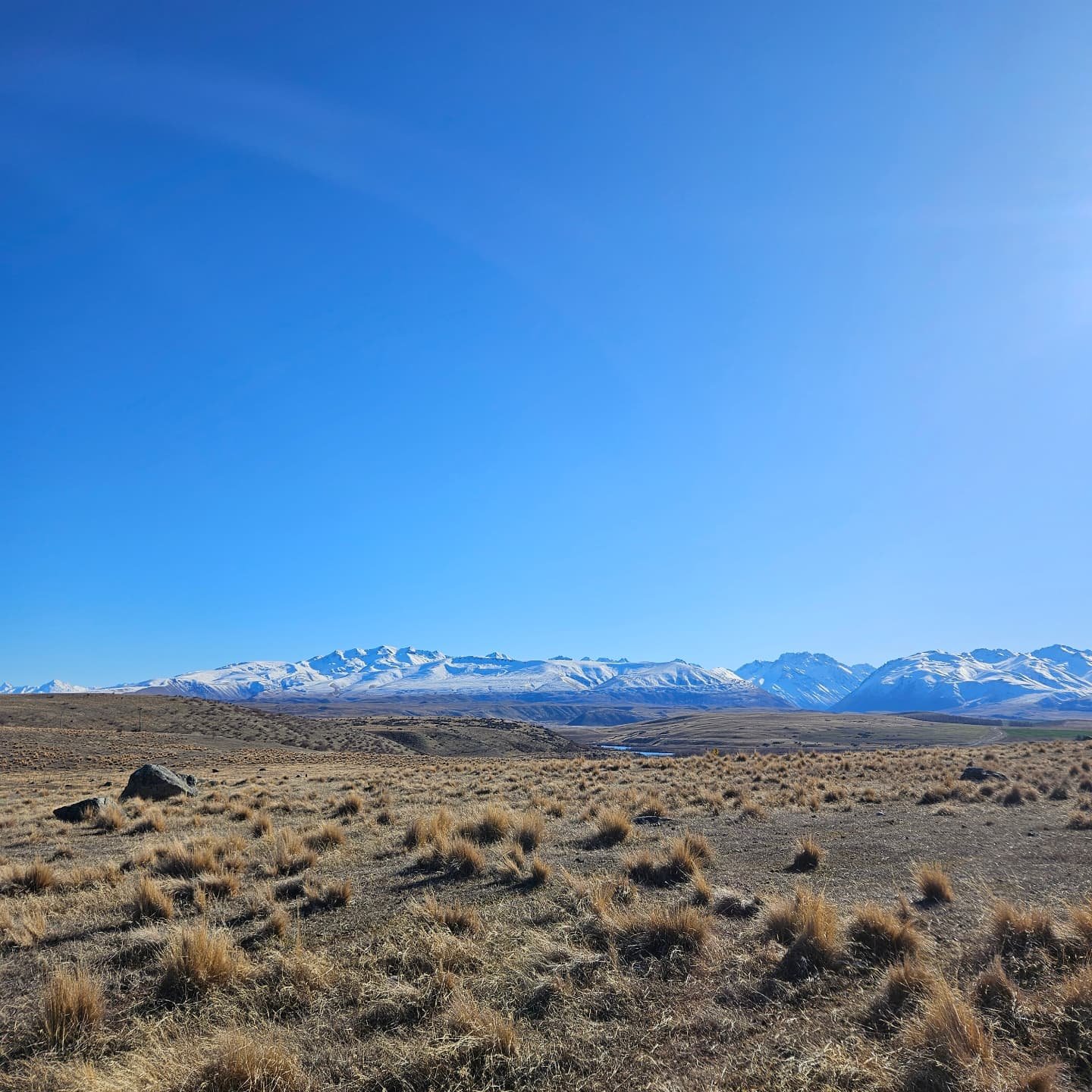 Cracker views from the Lake Tekapo Peninsula Track today. Thanks to Tekapo Trails for maintaining the track 👣 check out their website  https://www.tekapotrails.nz