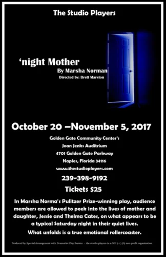 Past-Shows-Sidebar-Night-Mother.jpg
