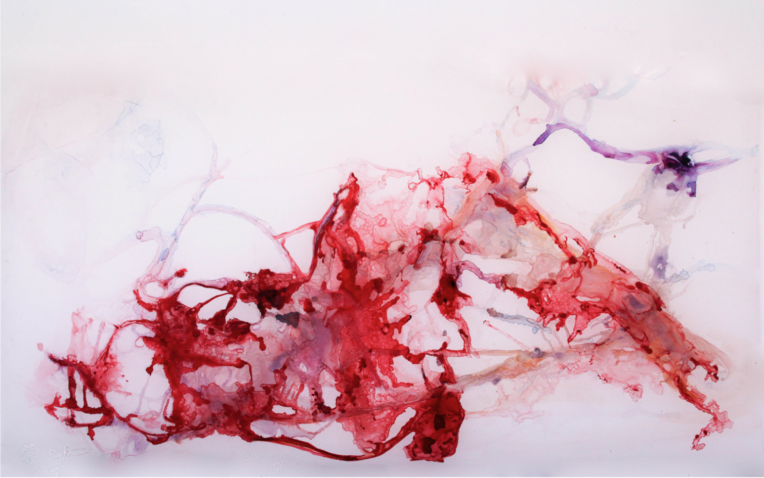 Sarah Allen Eagen A Universe Wrapped in Skin, 2017 Mixed media on mylar 30" x 69"