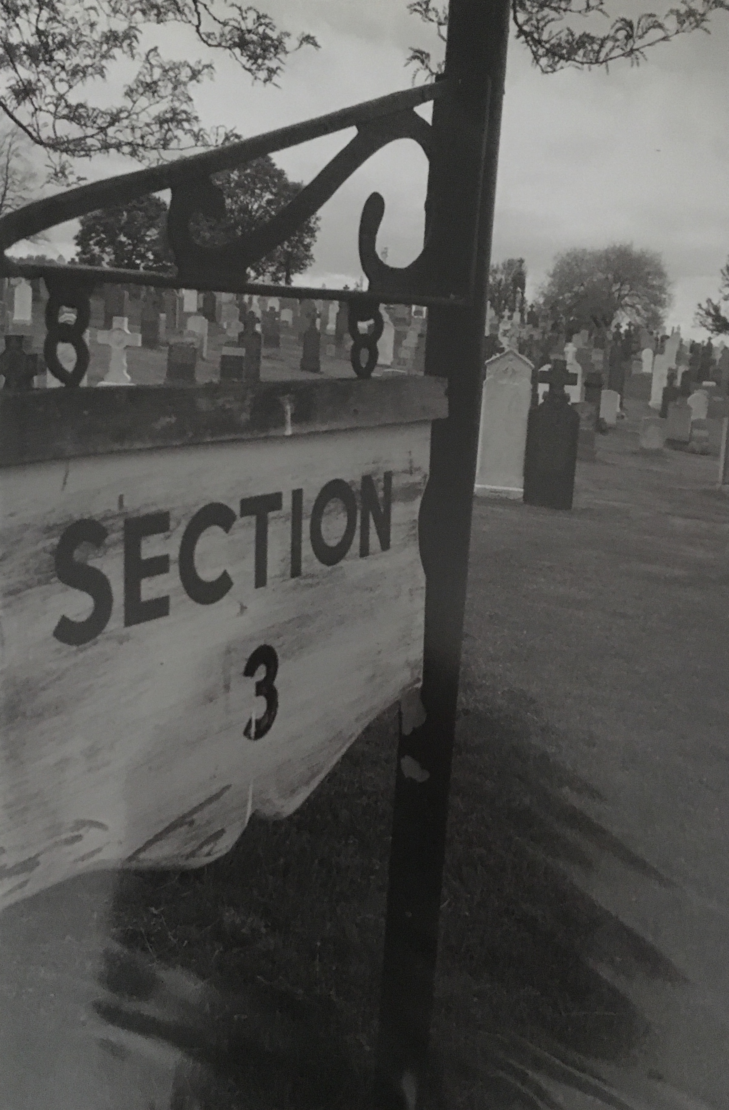 Copy of Laura Macrini_Section 3_2011.jpg