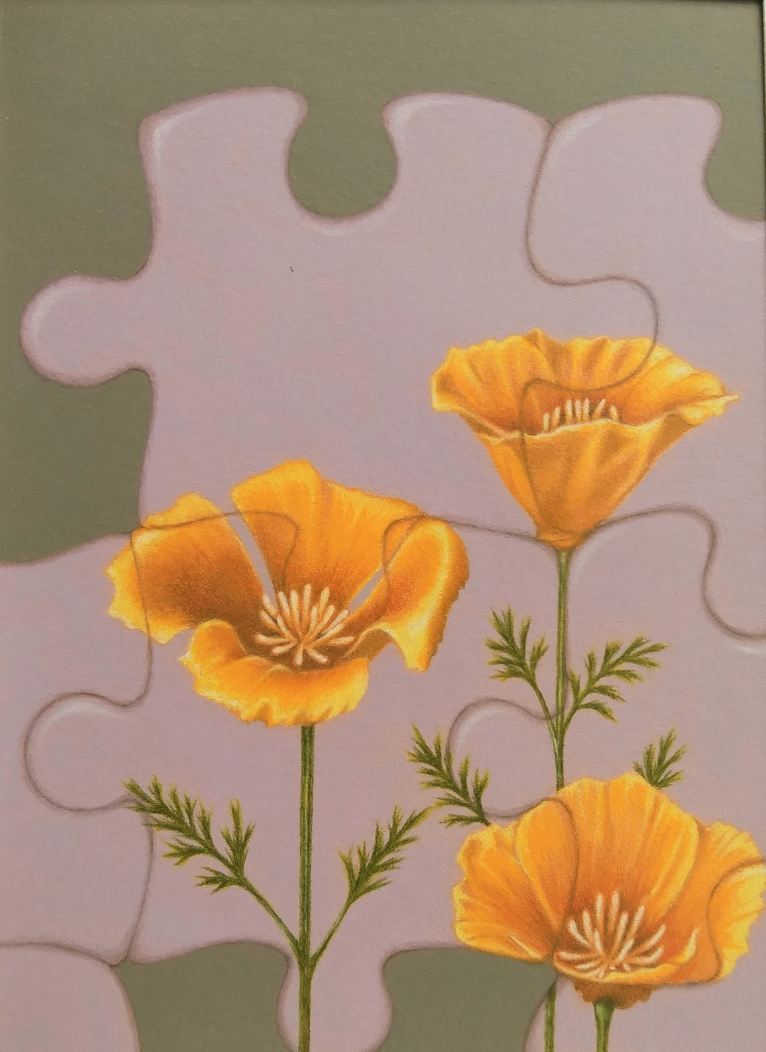 Yasko Yoshida Flower #2 Prisma color pencil on canson paper, 4.75 x 6.75”