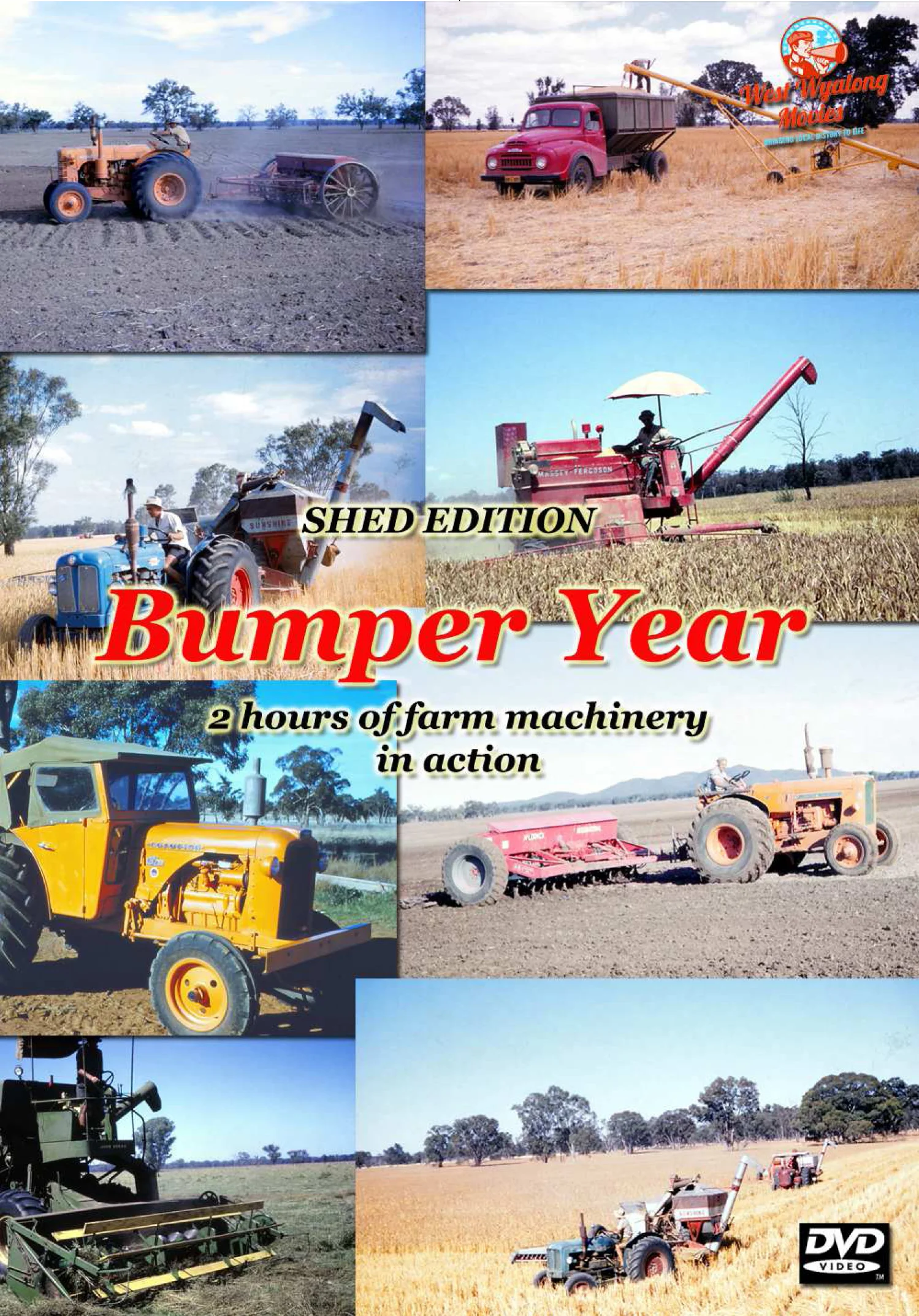 Bumper Year