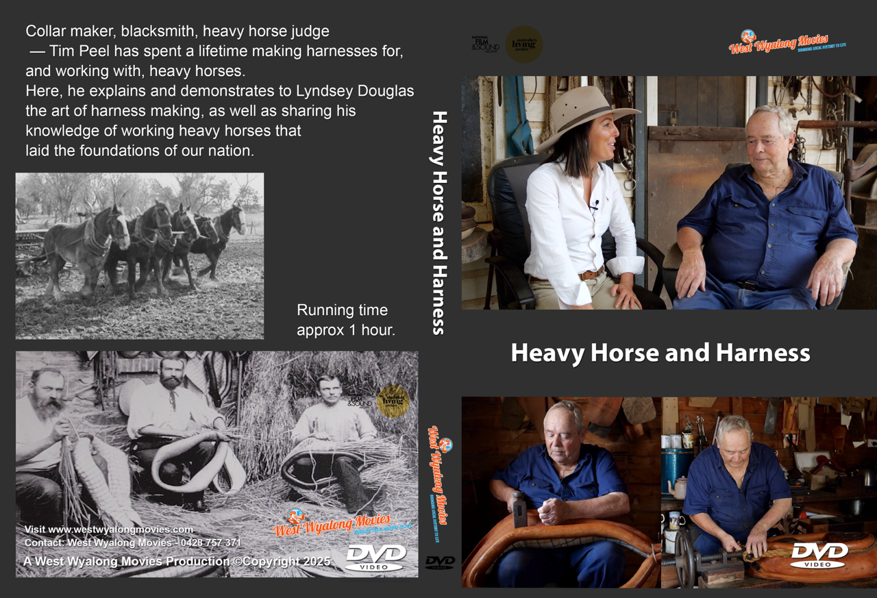 Heavy Horse & Harness.png