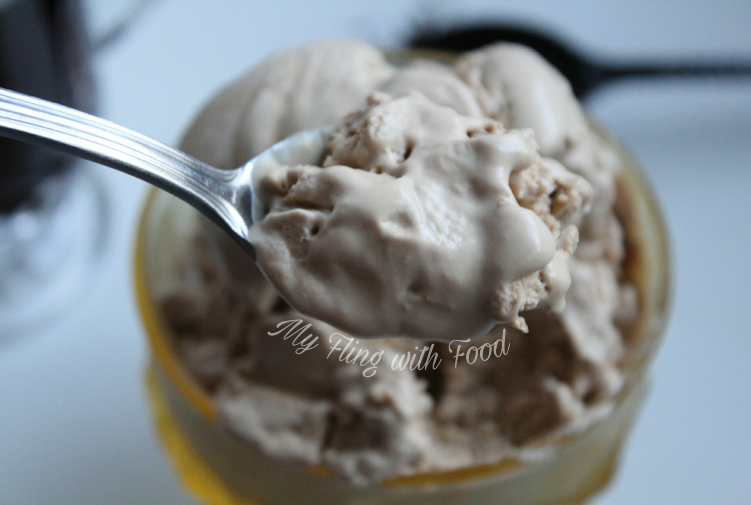 Low Carb Coffee Ice Cream (THM S) — My Fling with Food