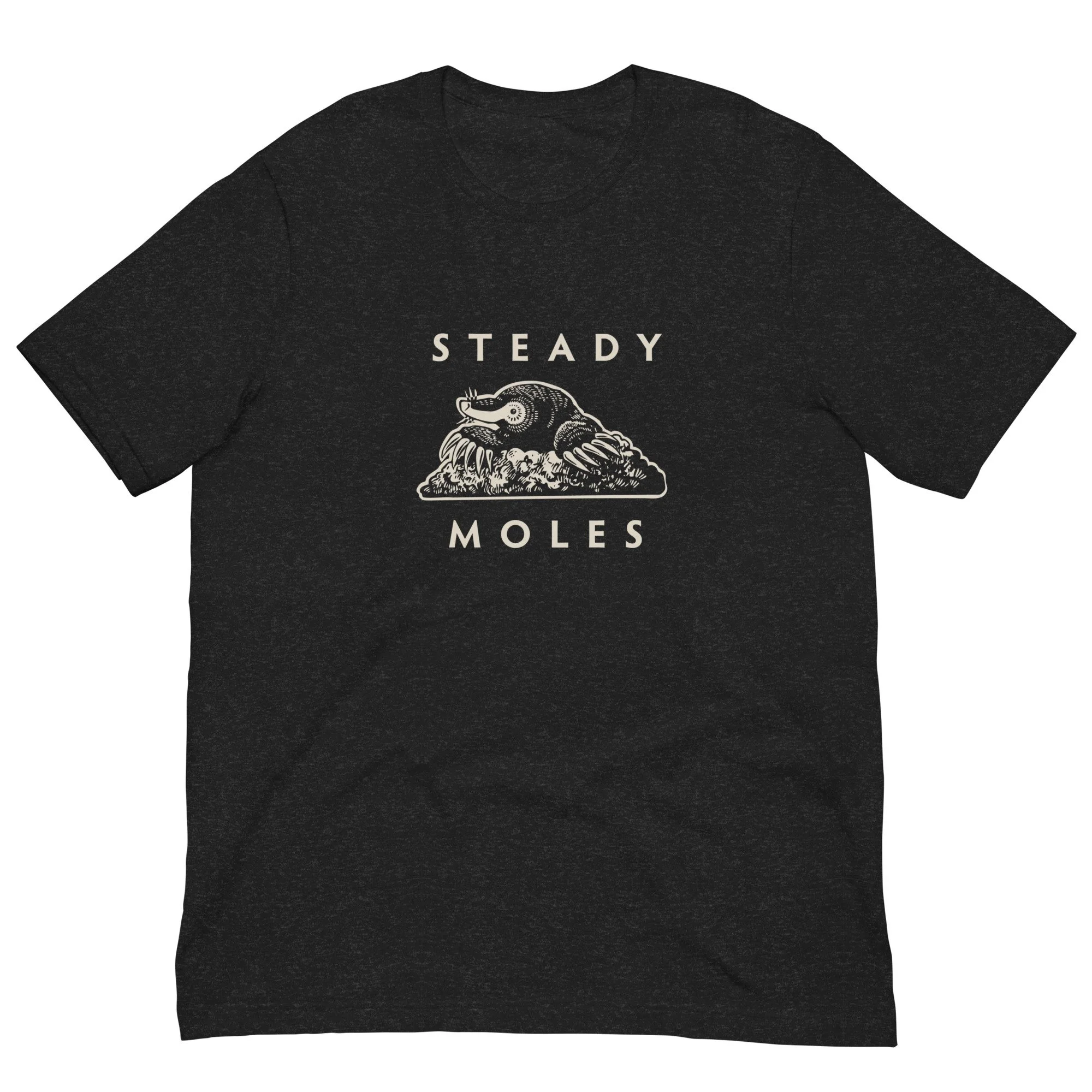 unisex-staple-t-shirt-black-heather-front-6a79b65bef024.jpg