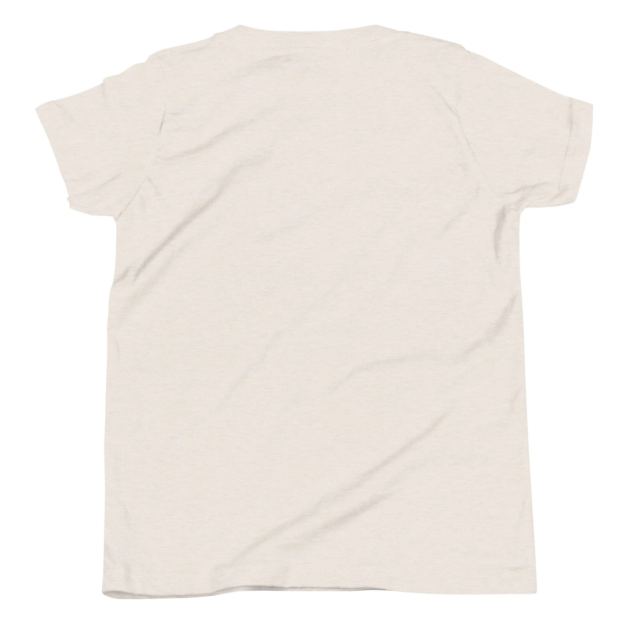 youth-staple-tee-heather-dust-back-6a79baa1e76b4.jpg
