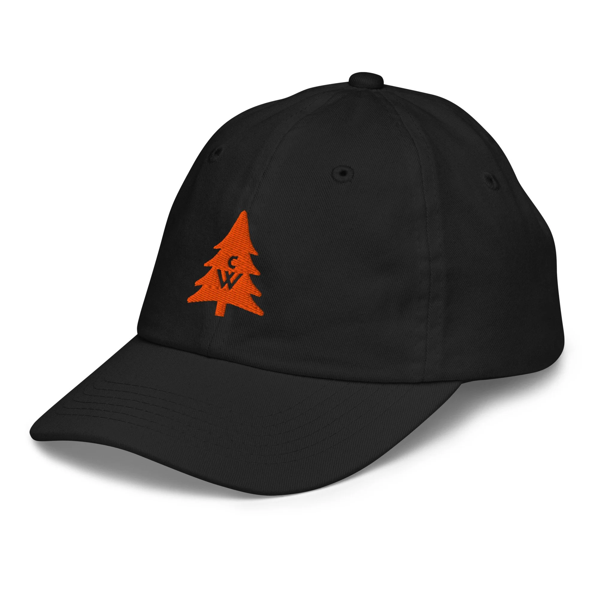 youth-baseball-cap-black-left-front-6a79c17ce868e.jpg