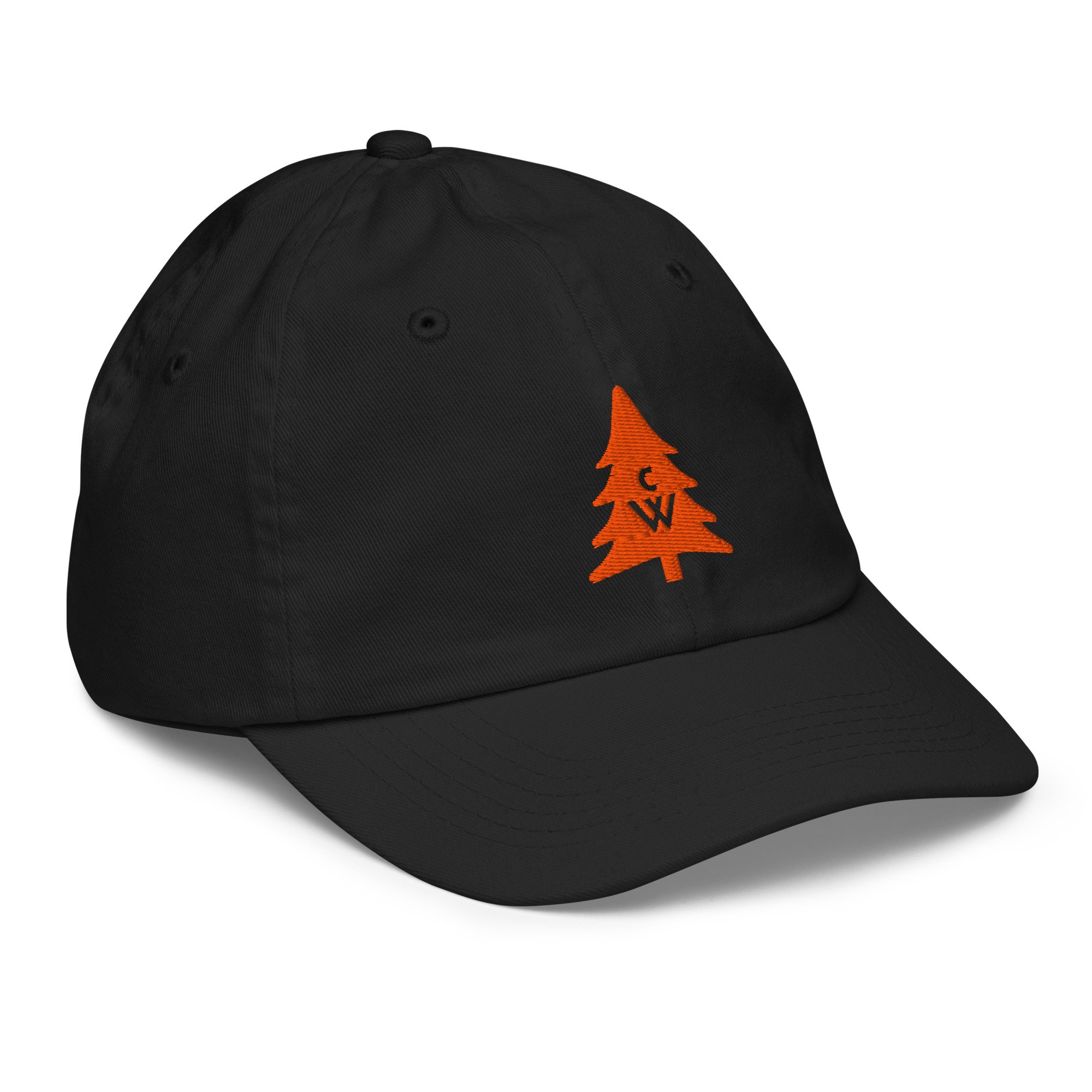 youth-baseball-cap-black-right-front-6a79c17ce8701.jpg