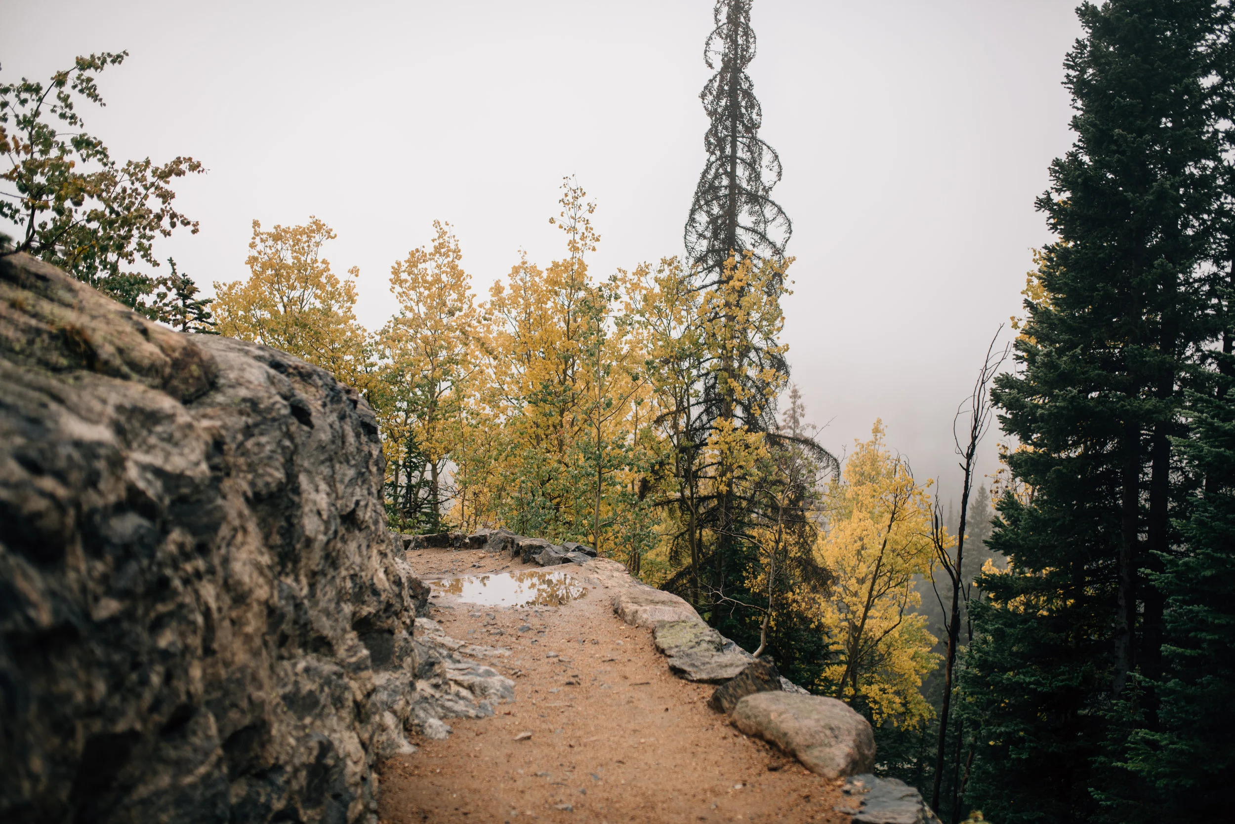  Rocky Mountain National Park in Colorado elopement photographer. 