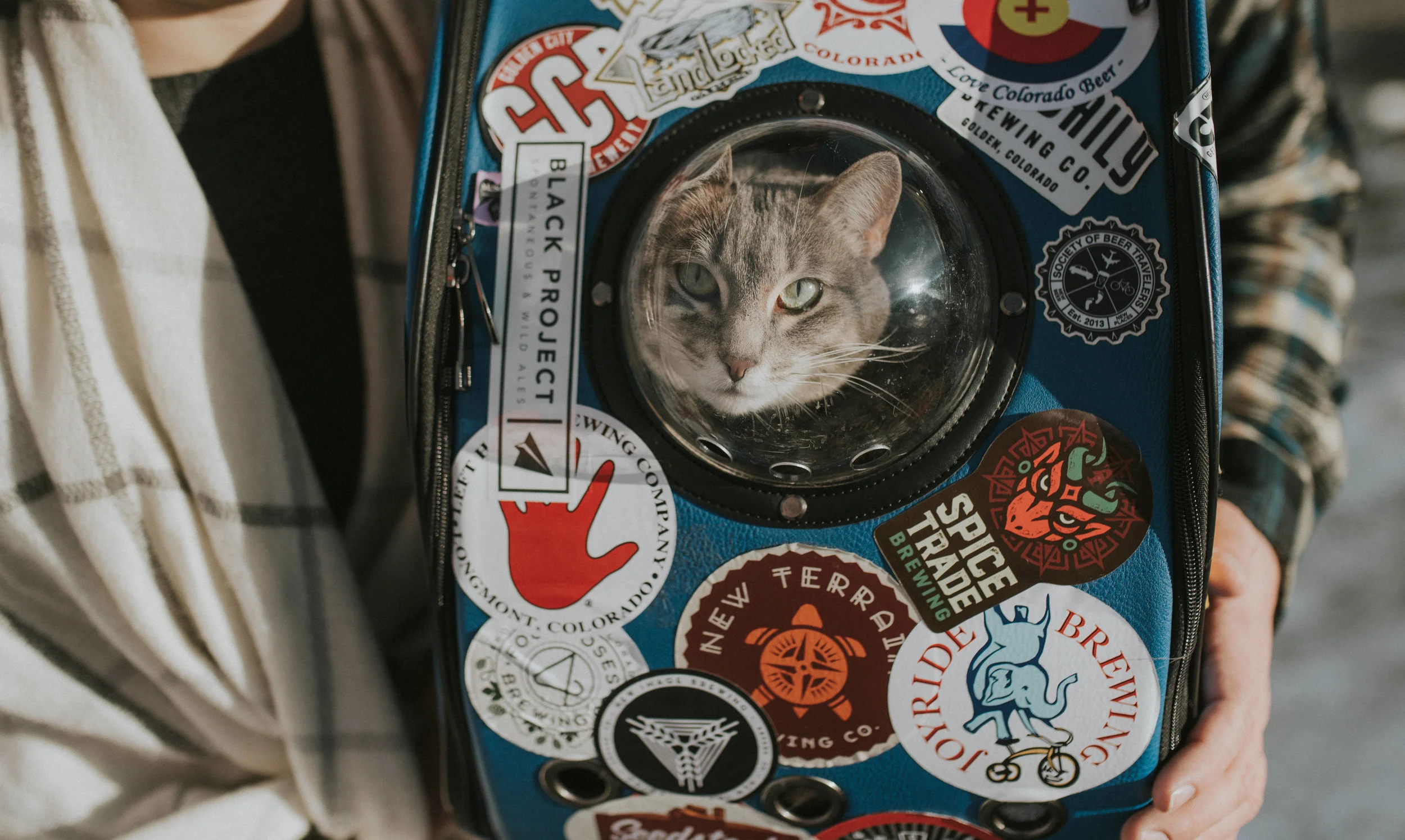  Colorado adventure engagement session in the Colorado Rockies. Denver, Colorado based engagement & wedding photographer. 