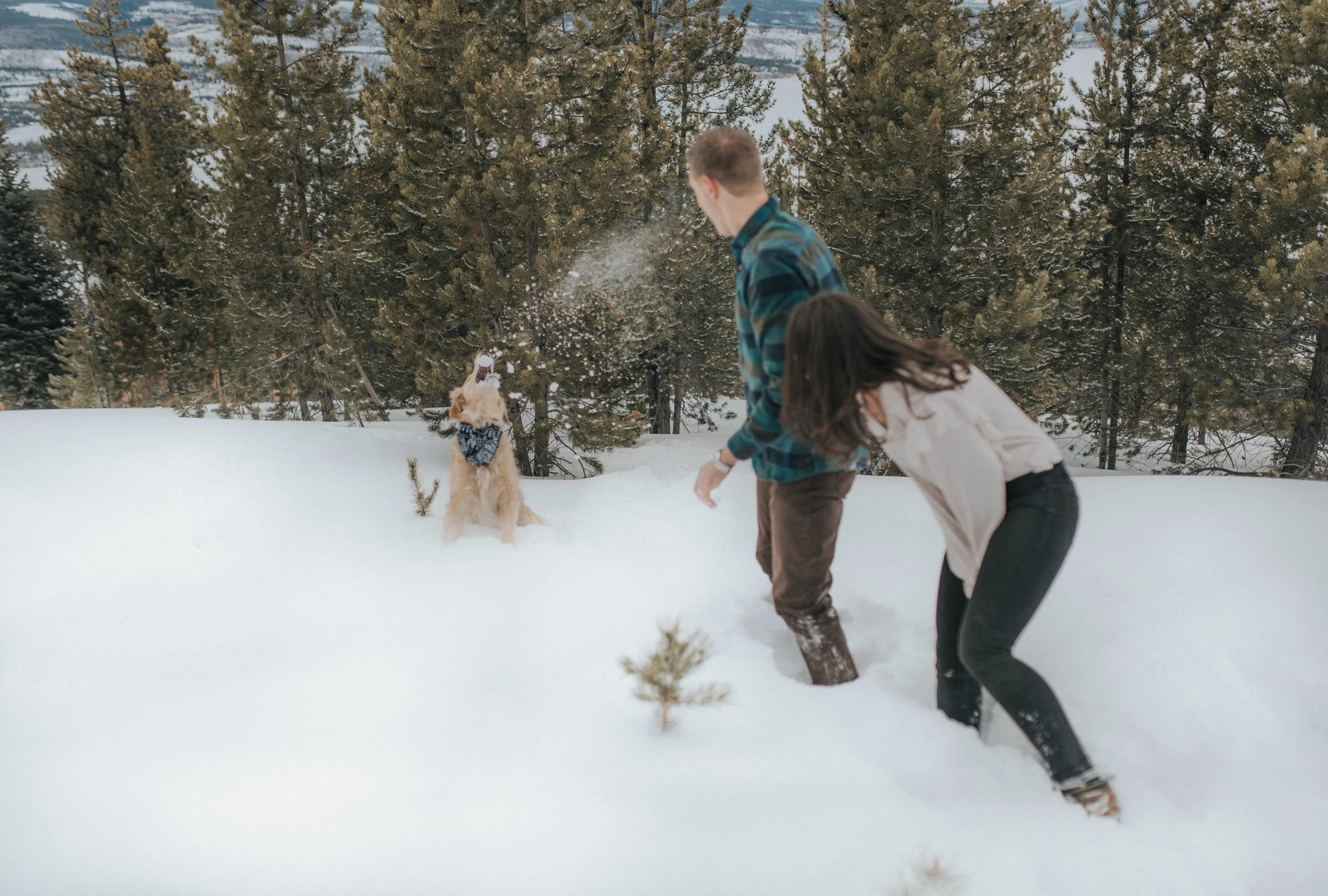  Denver based intimate wedding and elopement photographer. 