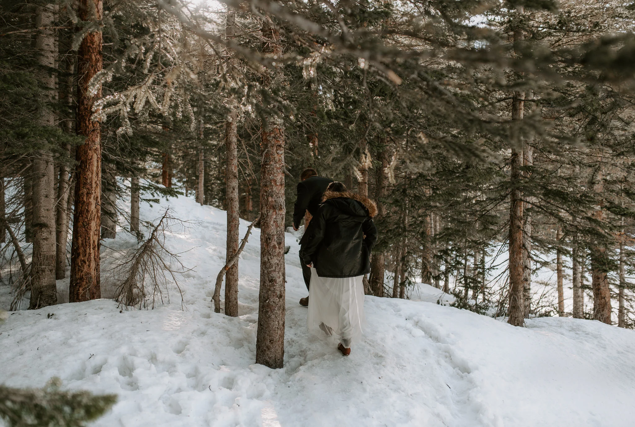  Hiking elopement in Colorado 