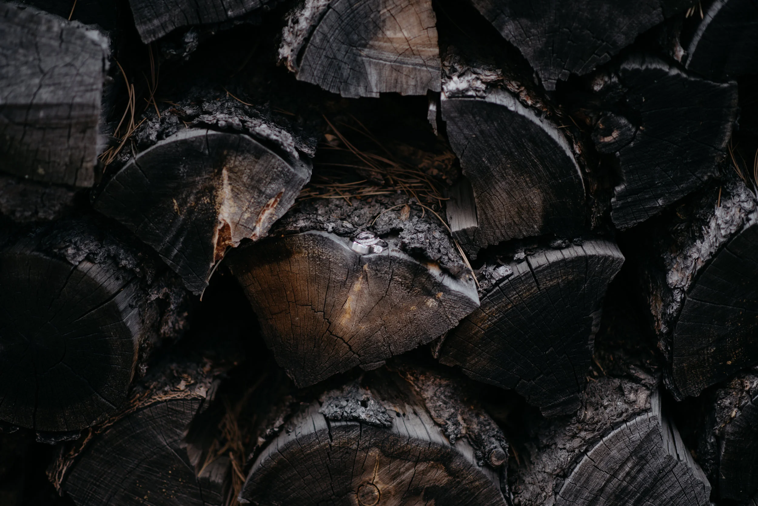  Photo of rings at Rocky Mountain National Park elopement. 