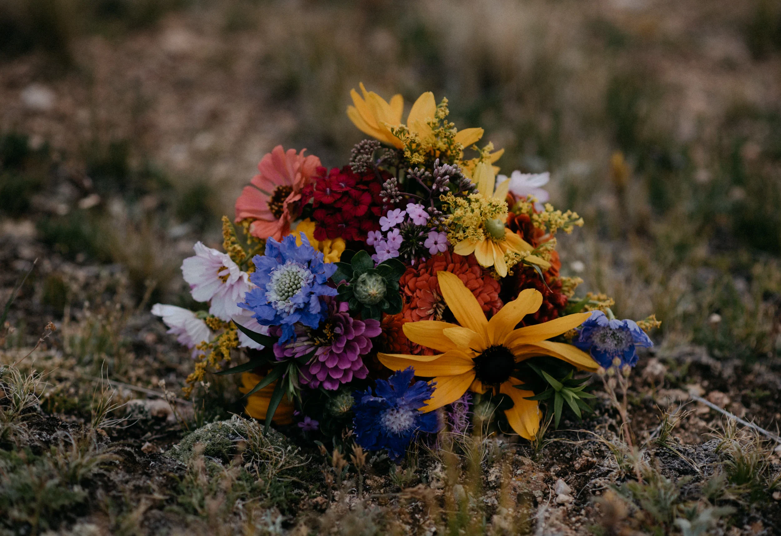  Bridal bouquet for a Guanella Pass elopement 
