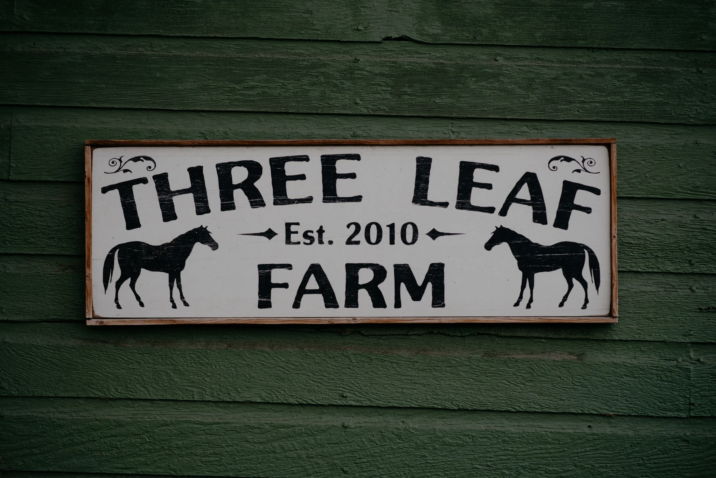  Detail photos at Three Leaf Farm wedding in Boulder, Colorado. 