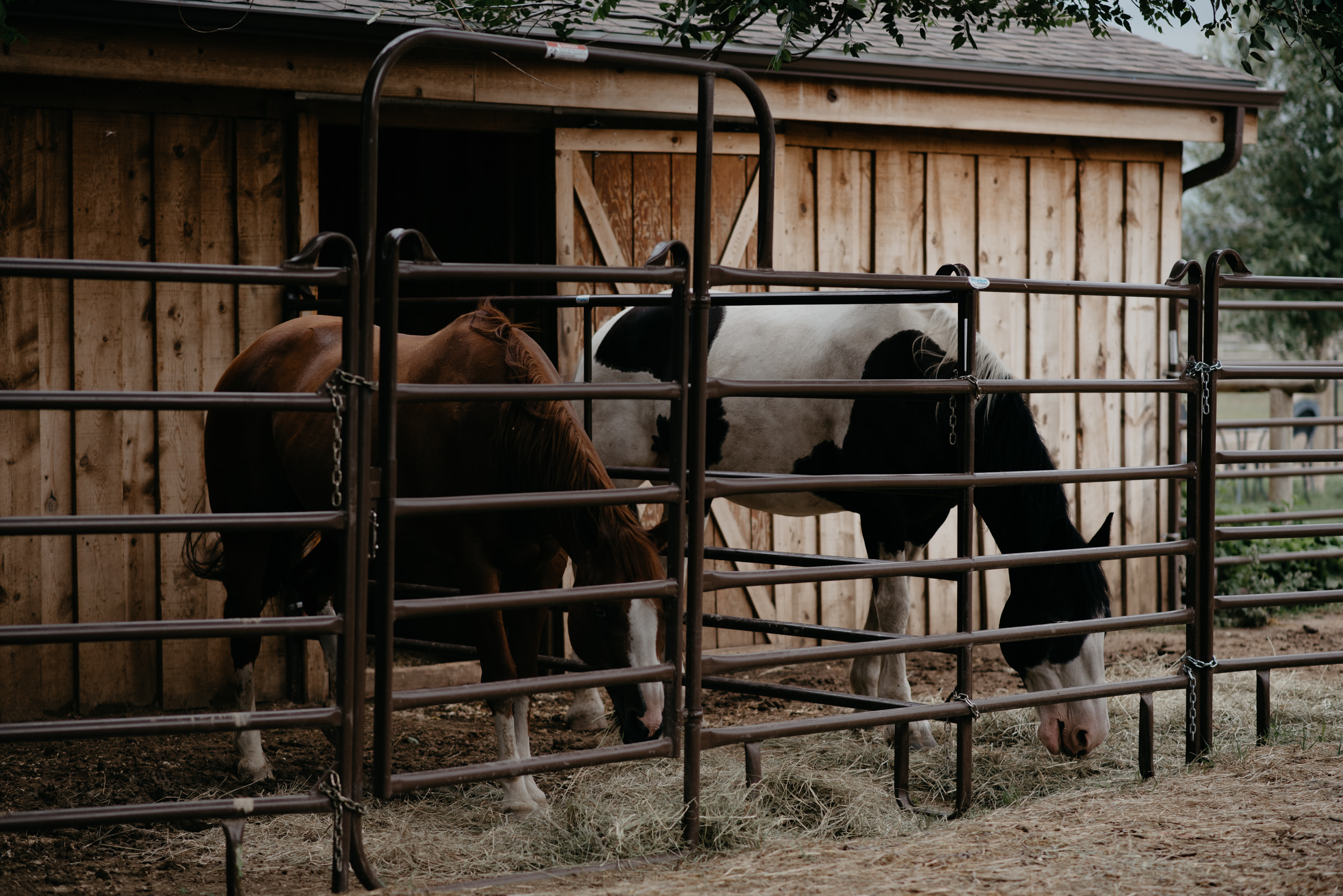  Boulder, Colorado wedding venue details. 