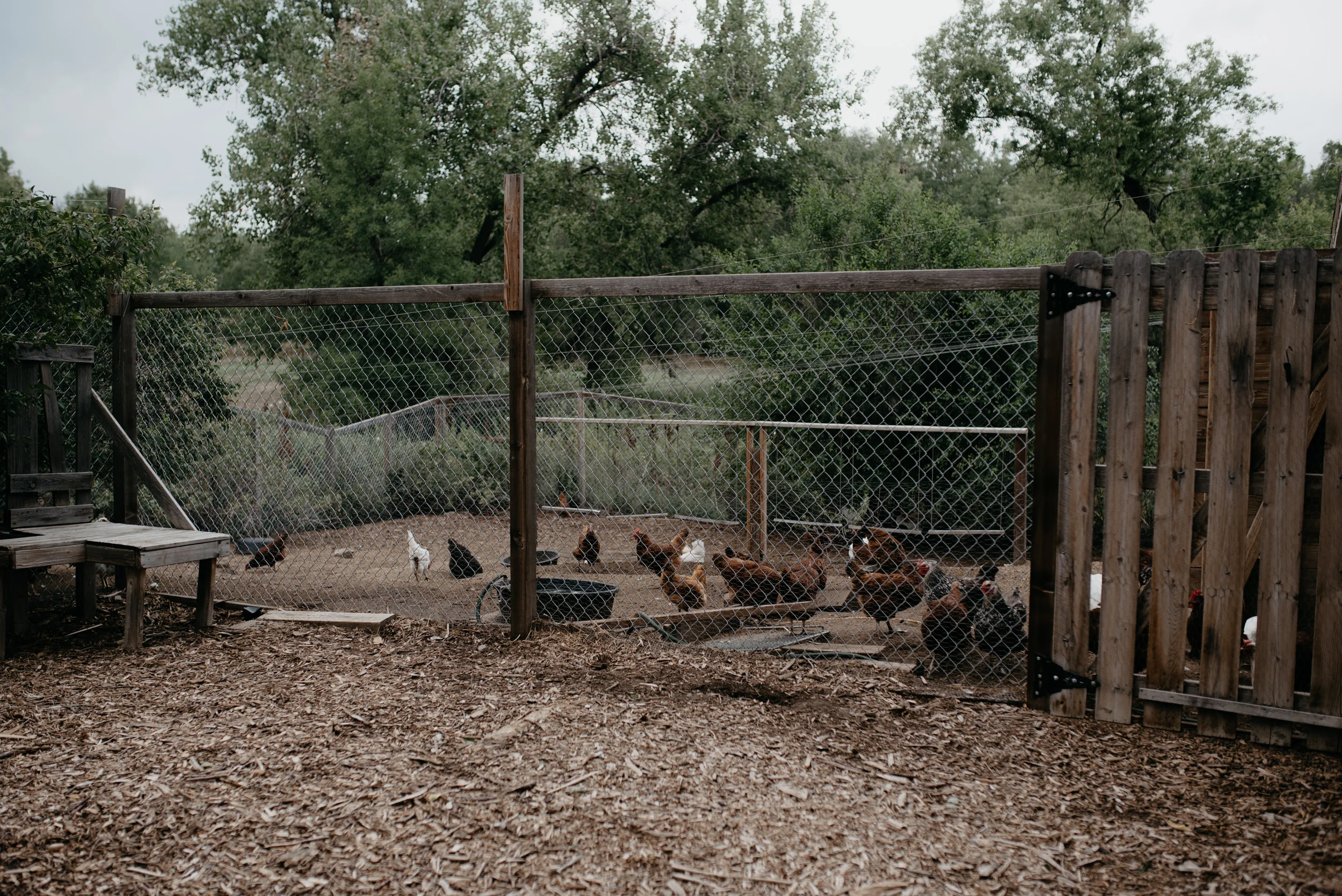  Boulder, Colorado Three Leaf Farm wedding venue details 