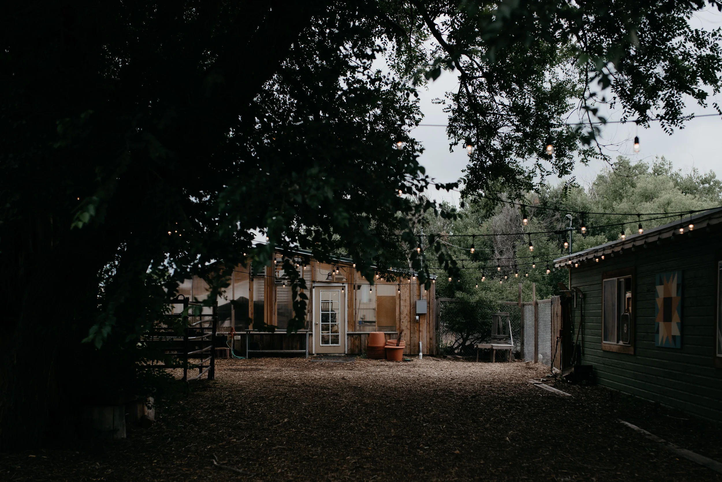  Three Leaf Farm wedding in Boulder, Colorado. Denver wedding and elopement photographer. 
