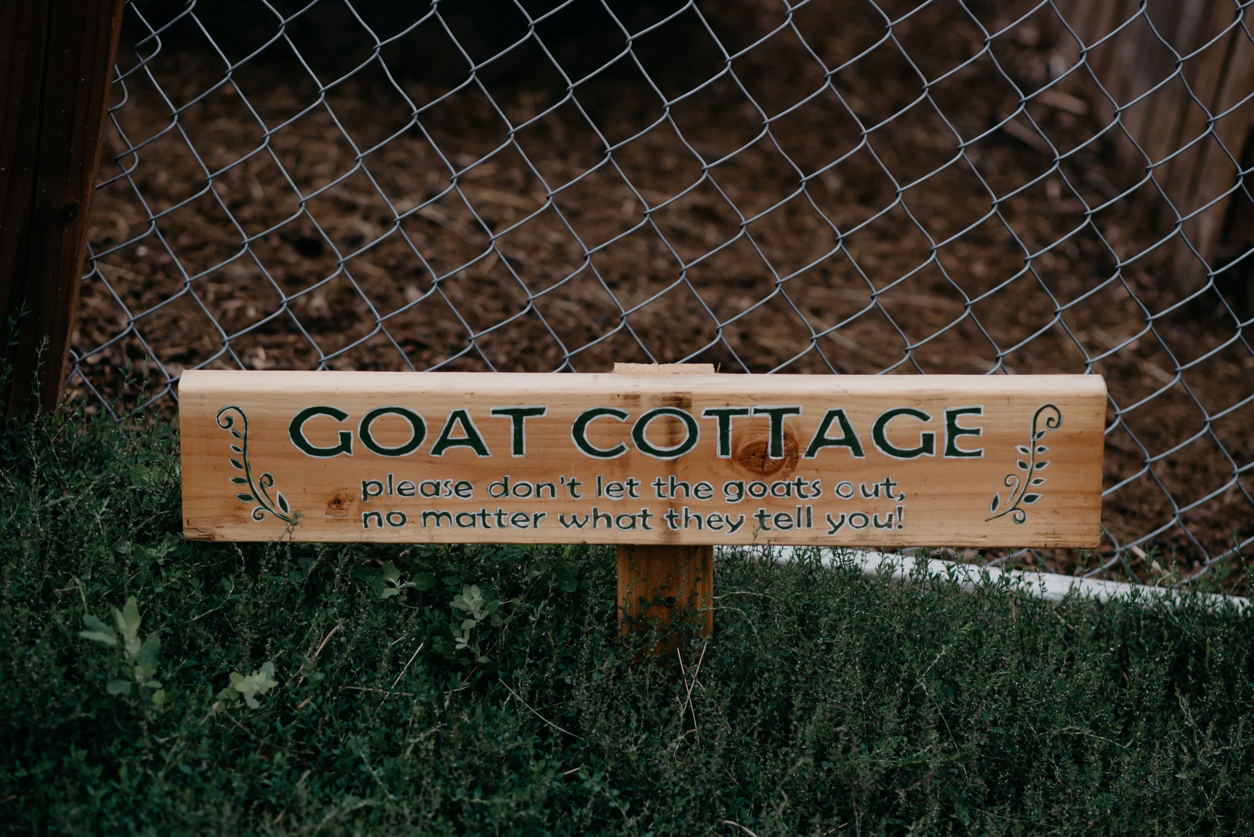  Boulder wedding photographer. Colorado elopement photography. 