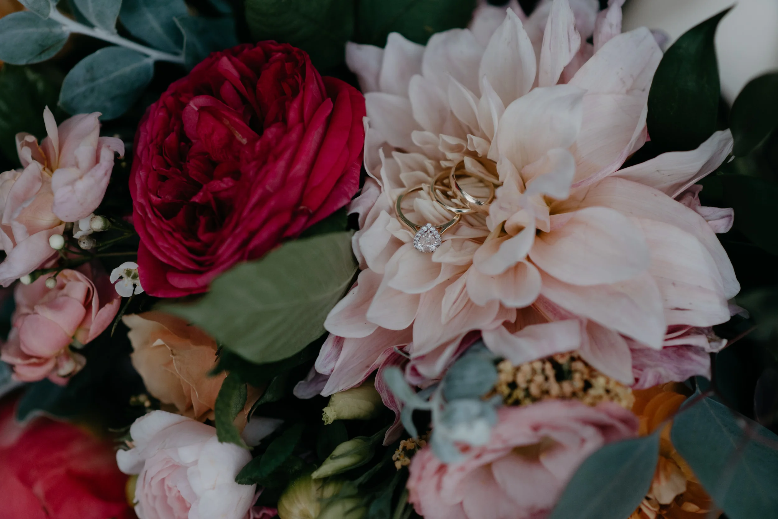  Ring shot by Alyssa Reinhold, Boulder wedding and elopement photographer. Colorado adventure wedding and elopement photos. 