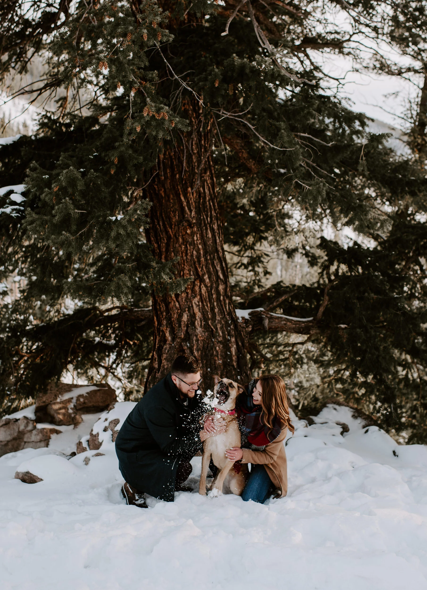  Sapphire Point Overlook proposal in Dillon, Colorado. Alyssa Reinhold is a Colorado mountain wedding and elopement photographer. 