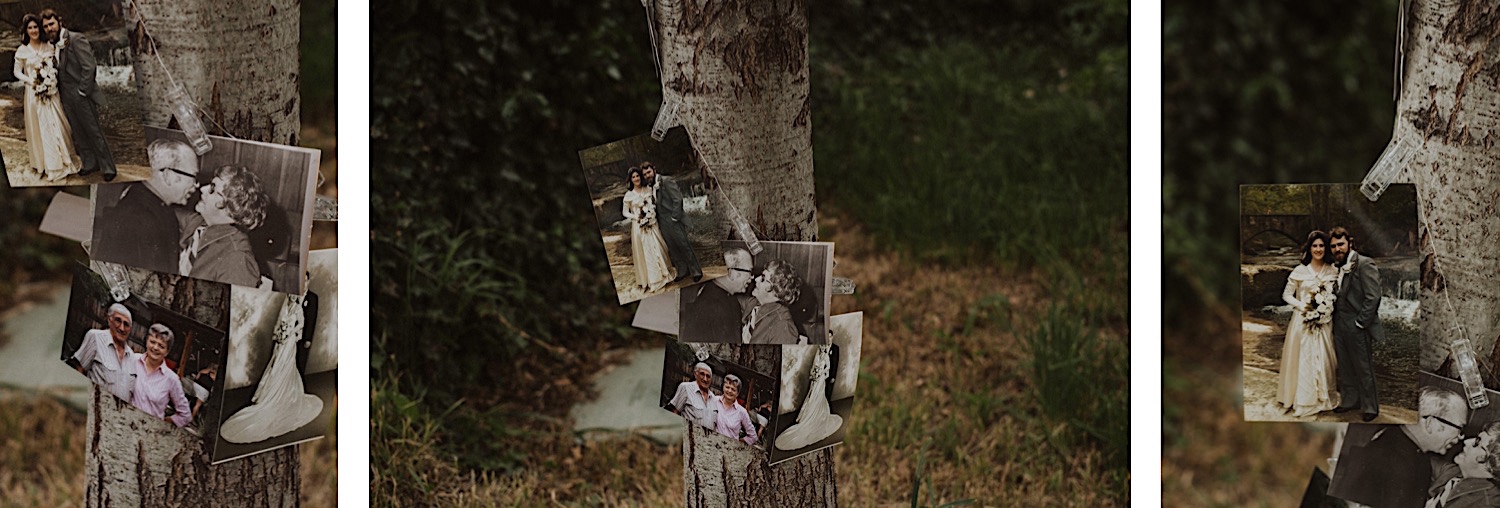 Stonewall Farm Wedding, Colorado Wedding Photographer, Berthoud Wedding Photographer, Fort Collins Wedding Photographer, Colorado Wedding, Colorado Farm Wedding, Colorado Wedding Ideas, Colorado Wedding Inspiration, Wedding ideas, Wedding photography, Wedding inspiration, Farm Wedding, Unique Wedding Ideas, Wedding Photos, Wedding Reception, Generation Wedding Photos, Wedding Signs, Wedding Decoration Ideas