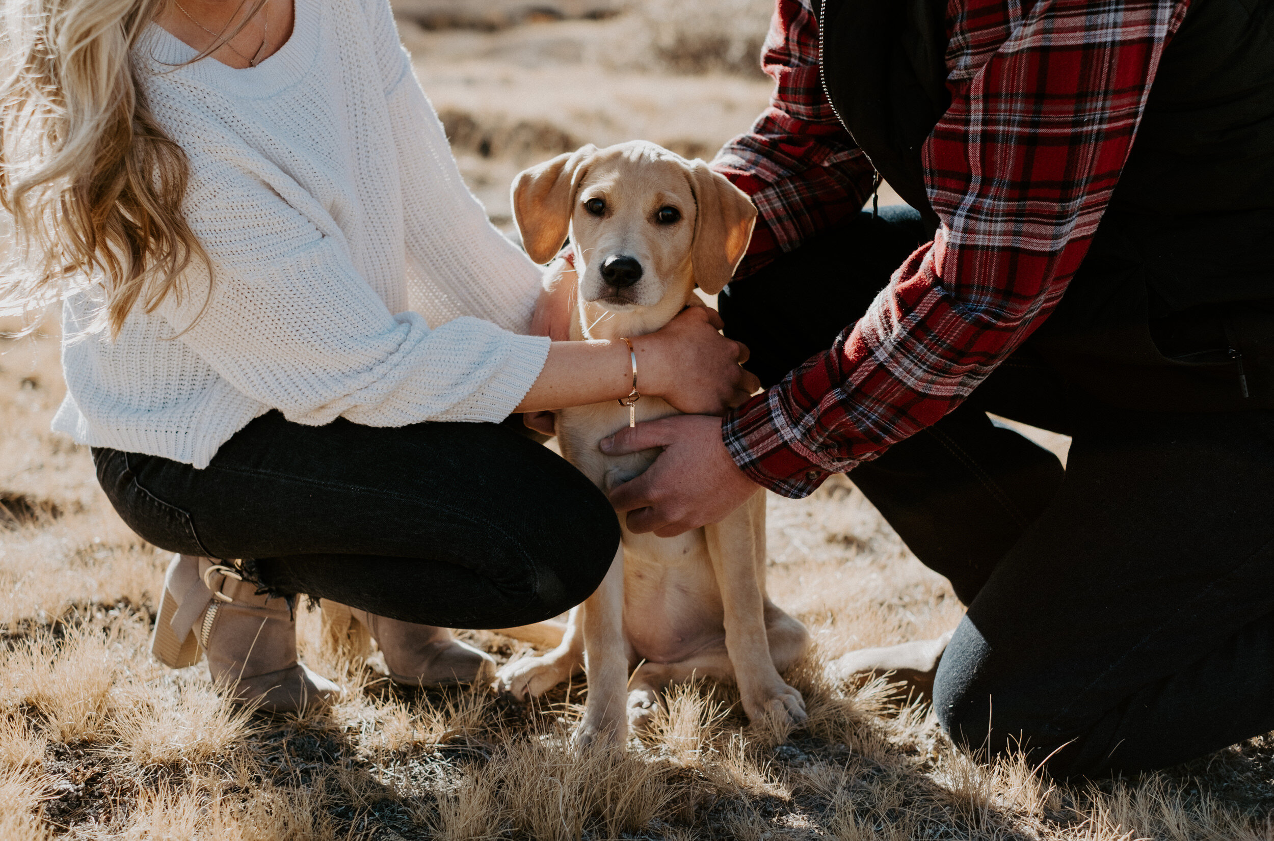  Fall engagement session at Guanella Pass. Colorado engagement photos. Colorado engagement session photographer. Guanella Pass engagement session. Engagement session with dogs inspiration. Fall engagement shoot ideas. Engagement session inspiration. Colorado wedding and elopement photographer. 