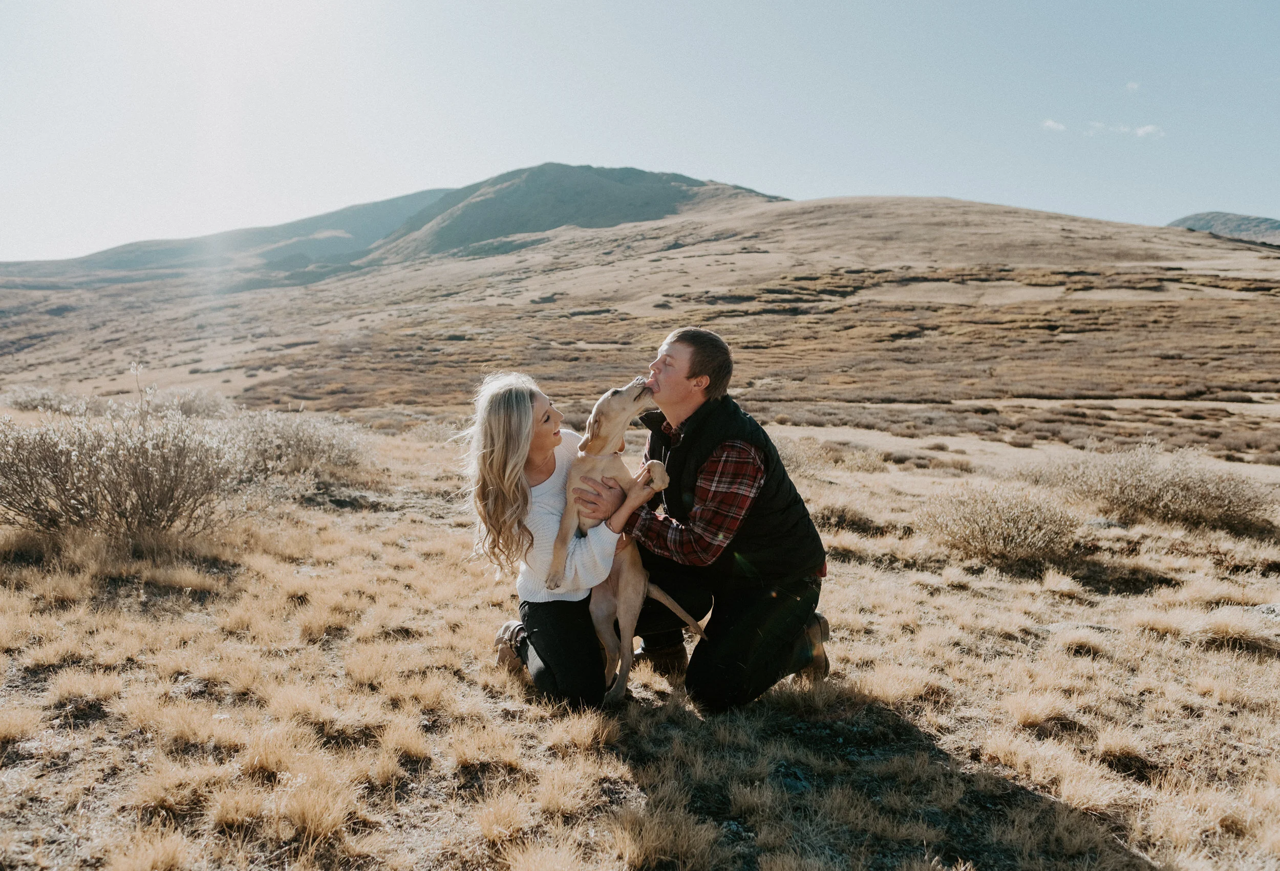  Fall engagement session at Guanella Pass. Colorado engagement photos. Colorado engagement session photographer. Guanella Pass engagement session. Engagement session with dogs inspiration. Fall engagement shoot ideas. Engagement session inspiration. Colorado wedding photography. Colorado elopement photographer. Save the date idea with dogs. Colorado wedding photographer. 