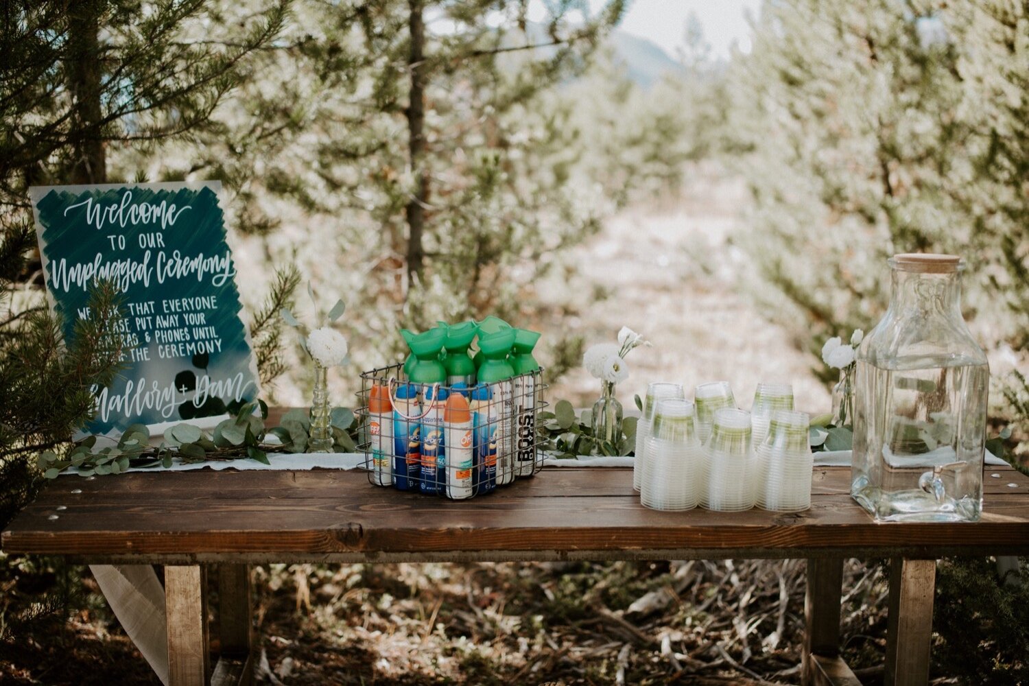  Wedding welcome table, Wedding calligraphy sign, Windy Point Campground Wedding Colorado, Dillon Colorado Wedding, Colorado mountain wedding, Dillon Colorado Wedding Photographer, Colorado Wedding Photographer, Colorado mountain wedding venues, Colo