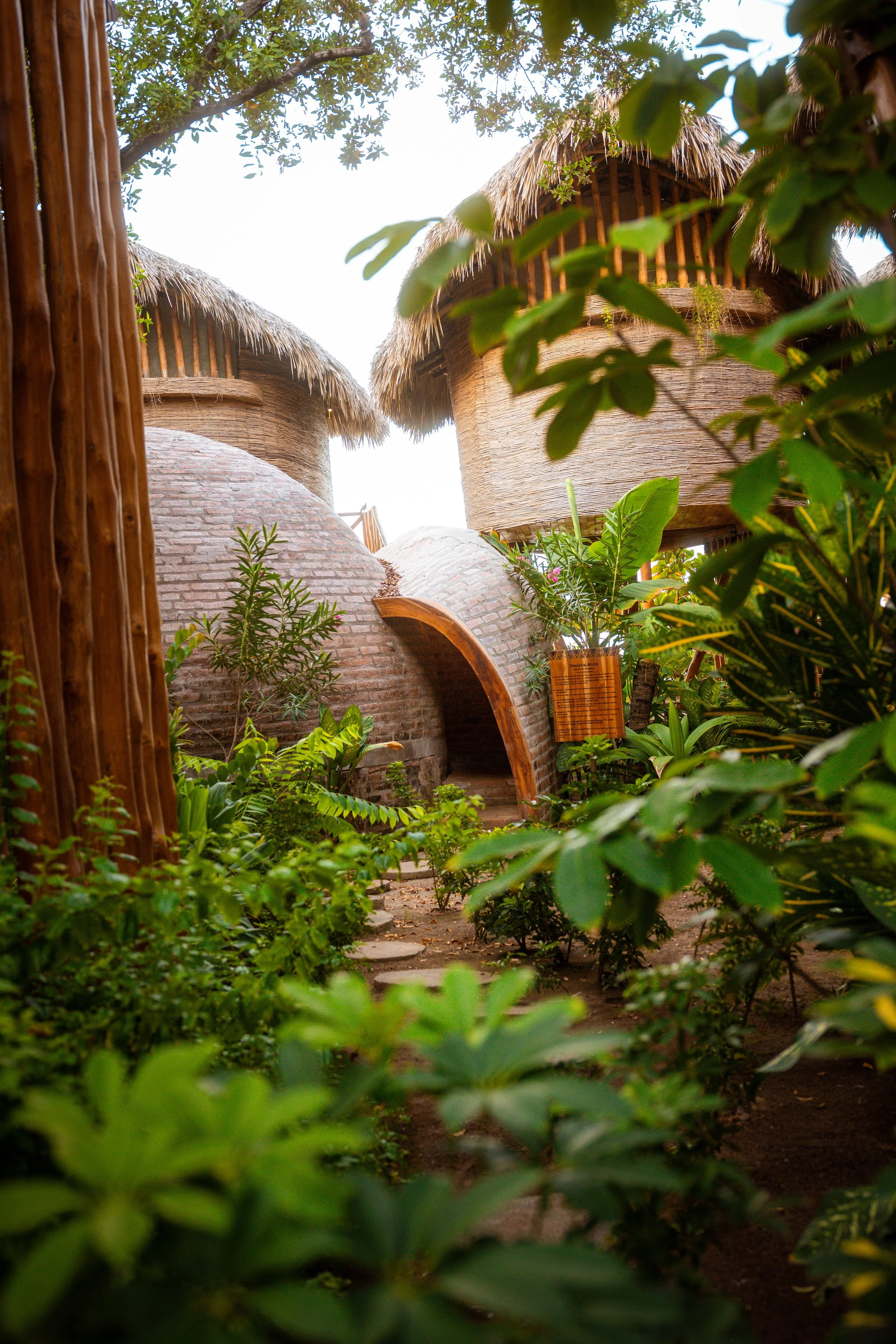 Jungle Views.jpg