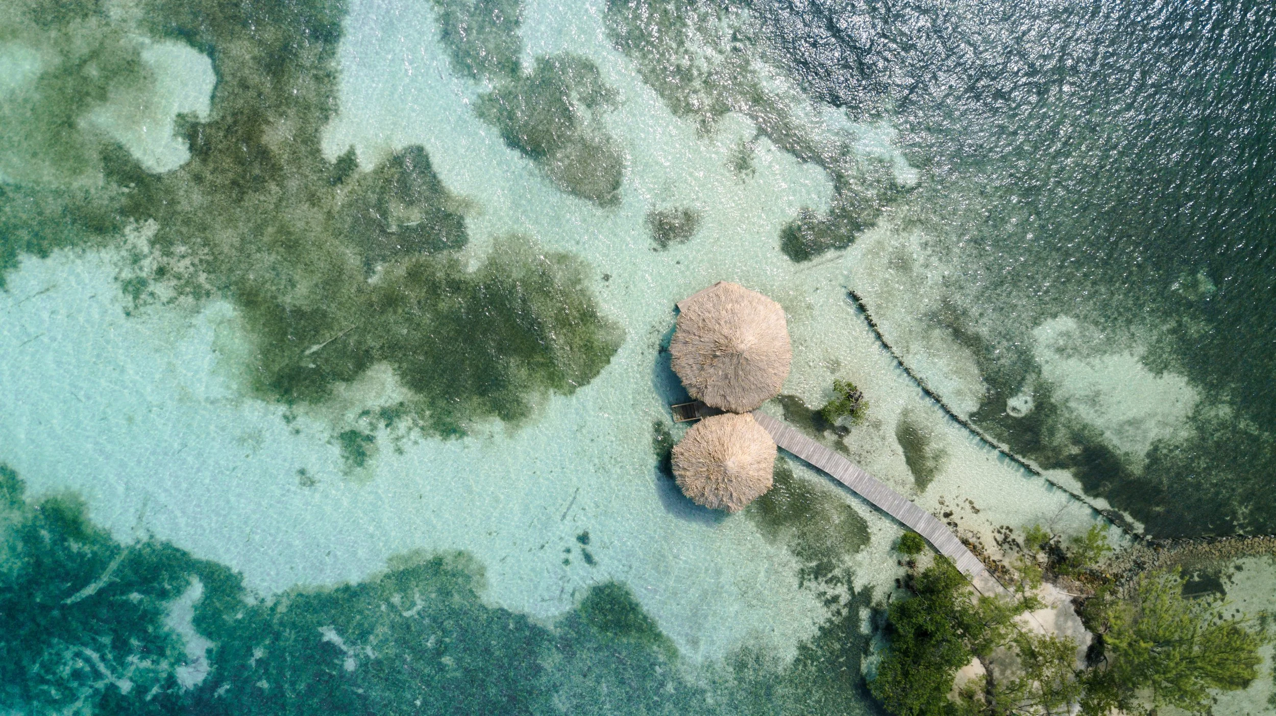 Thatch Caye Serenity Point Birdeye View.jpg