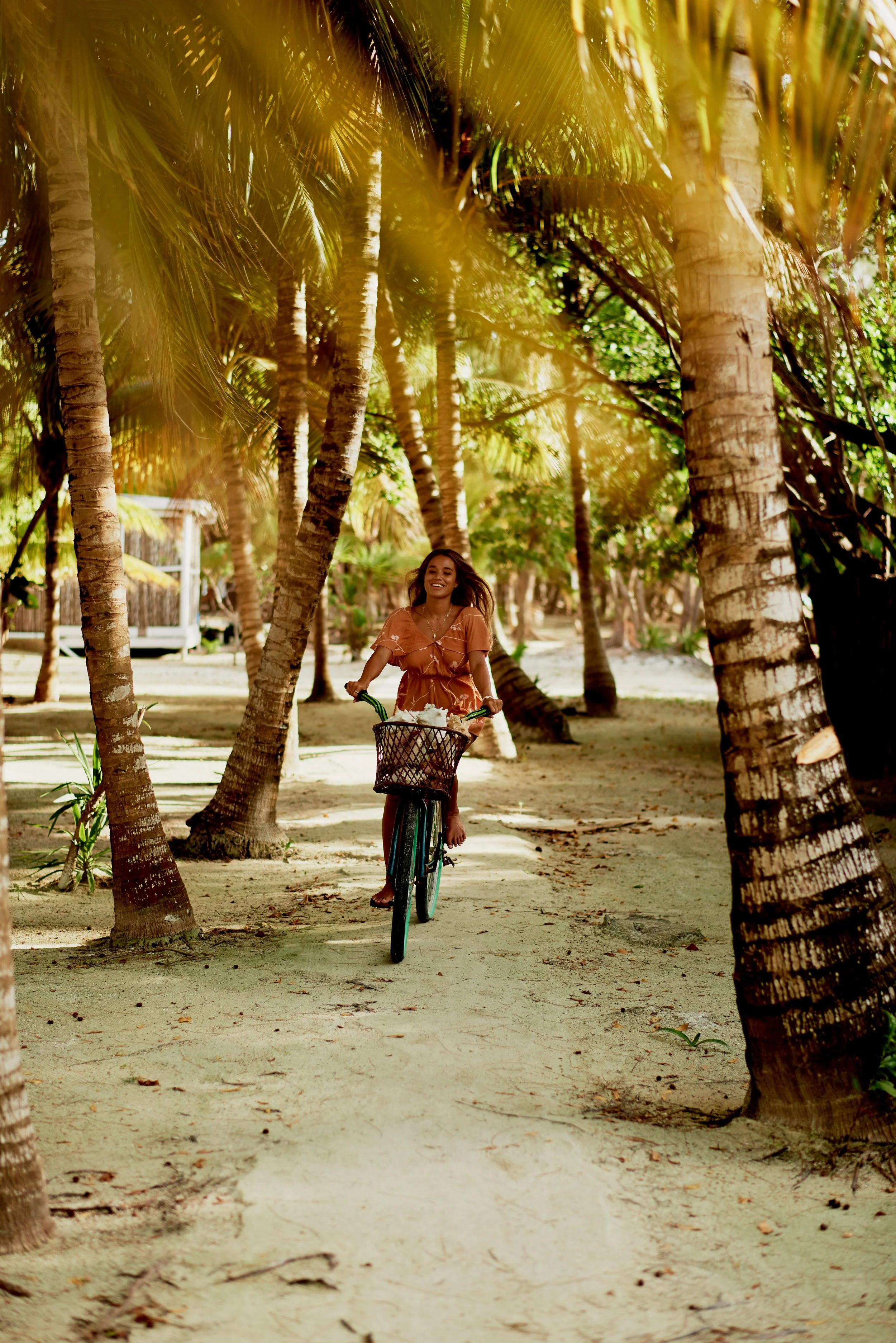 Thatch Caye Bike Palm Grove.jpg