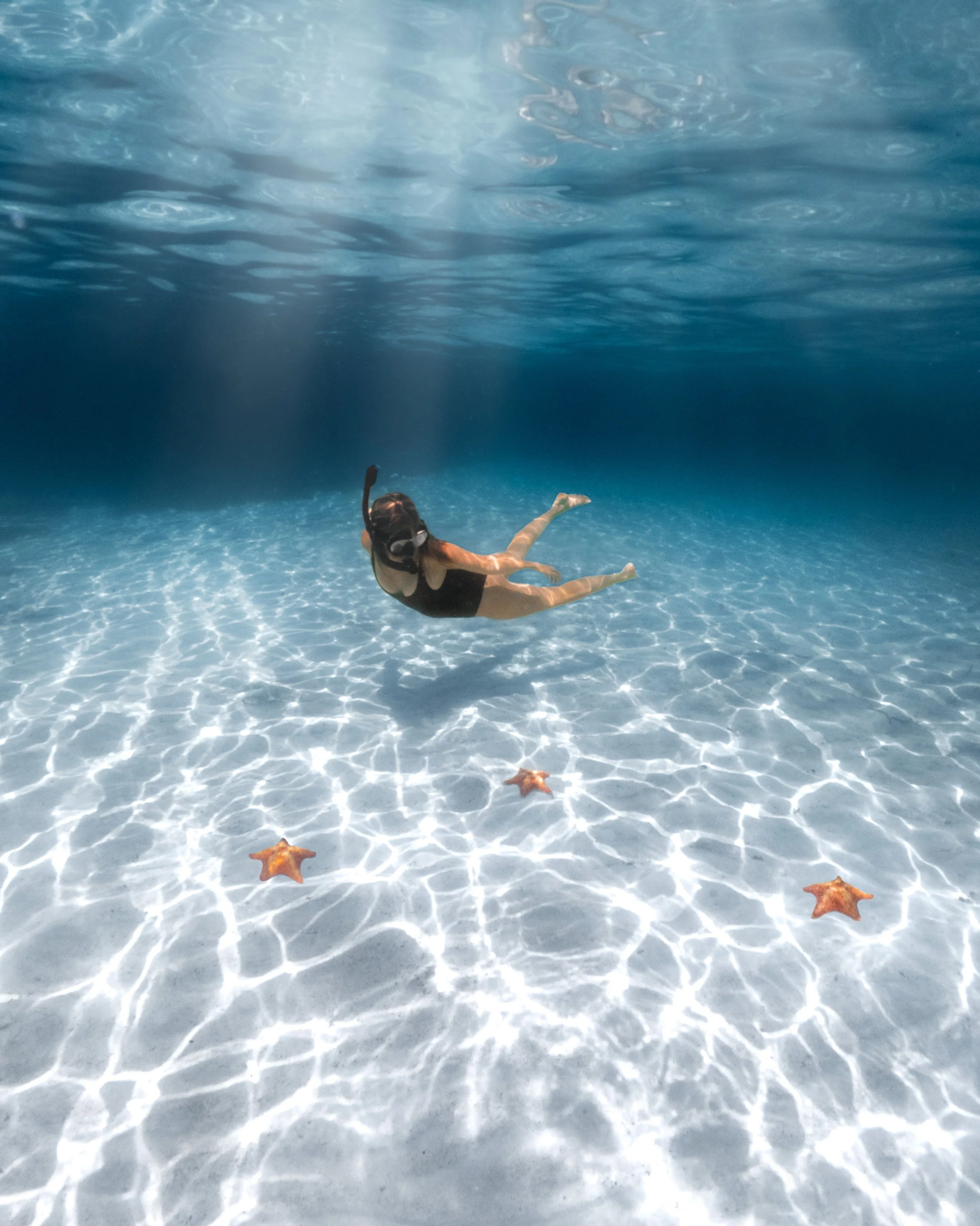 Snorkel Starfish Belize.jpg