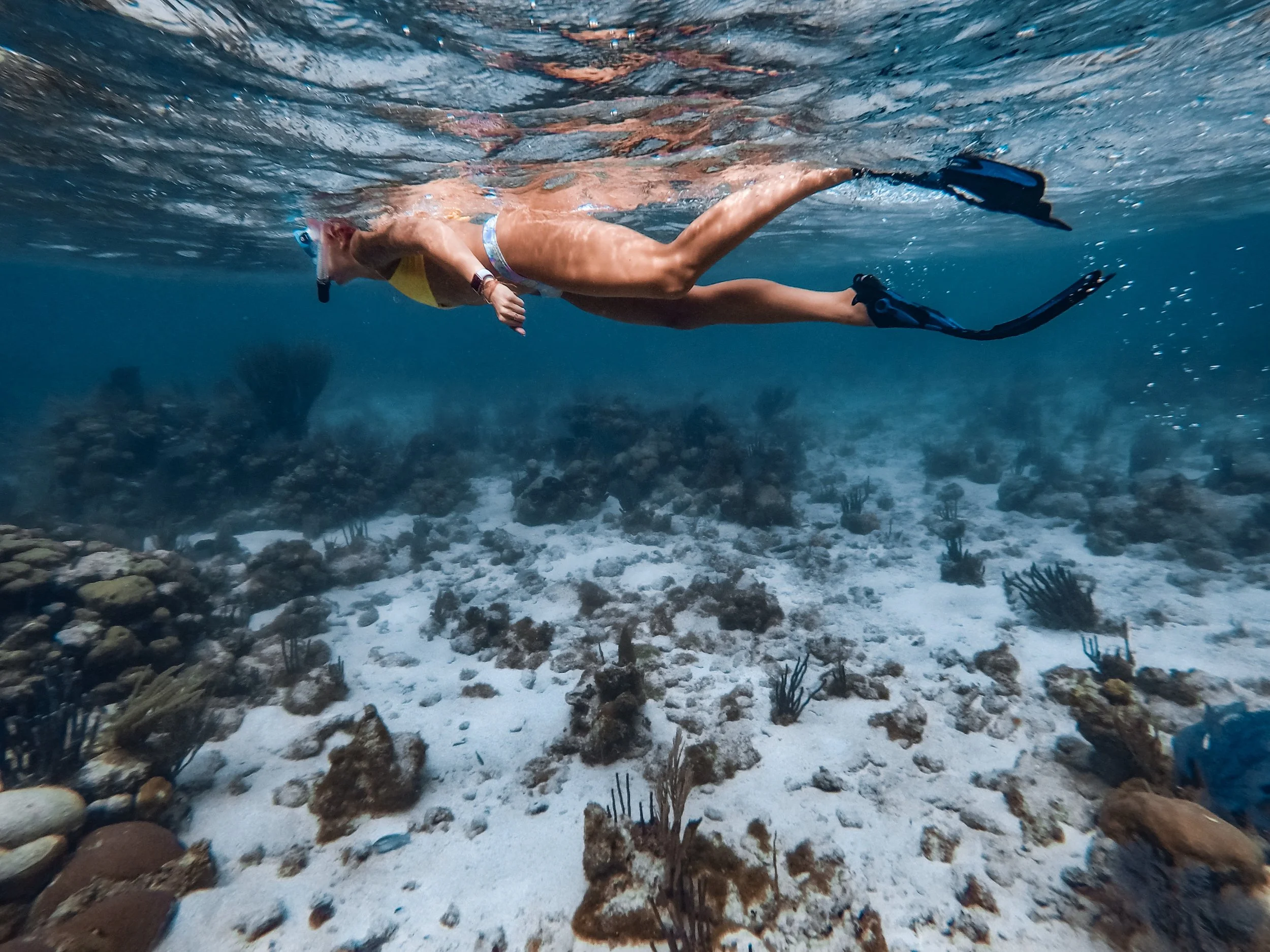 Snorkel Caribbean Sea.jpg
