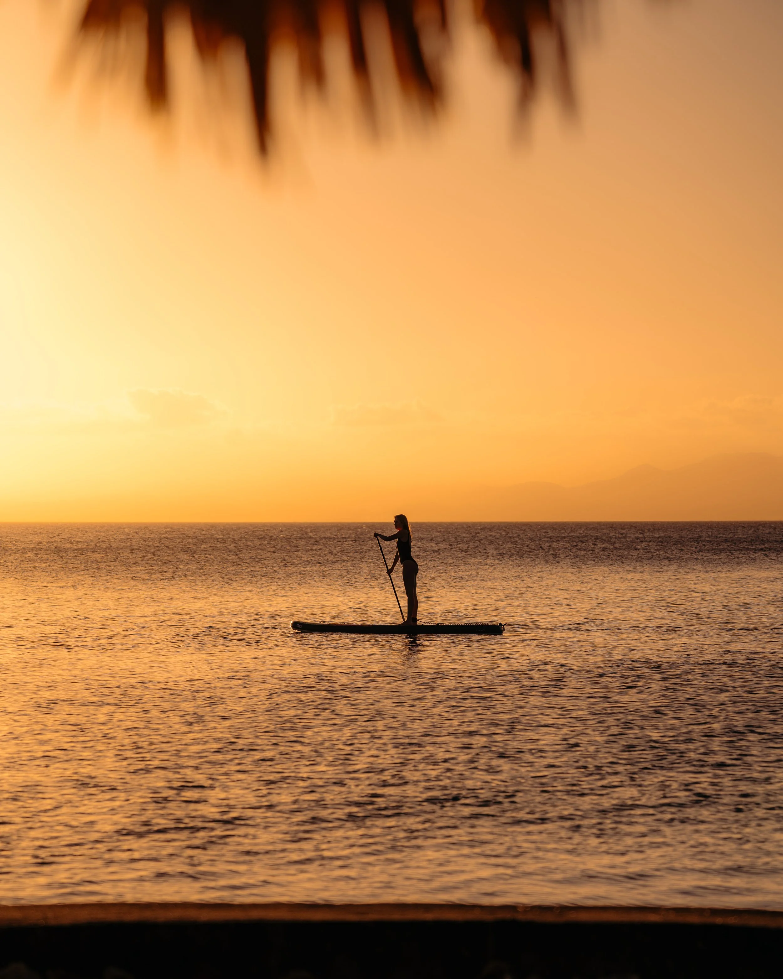 Caribbean Sea Sunset Paddleboard.jpg