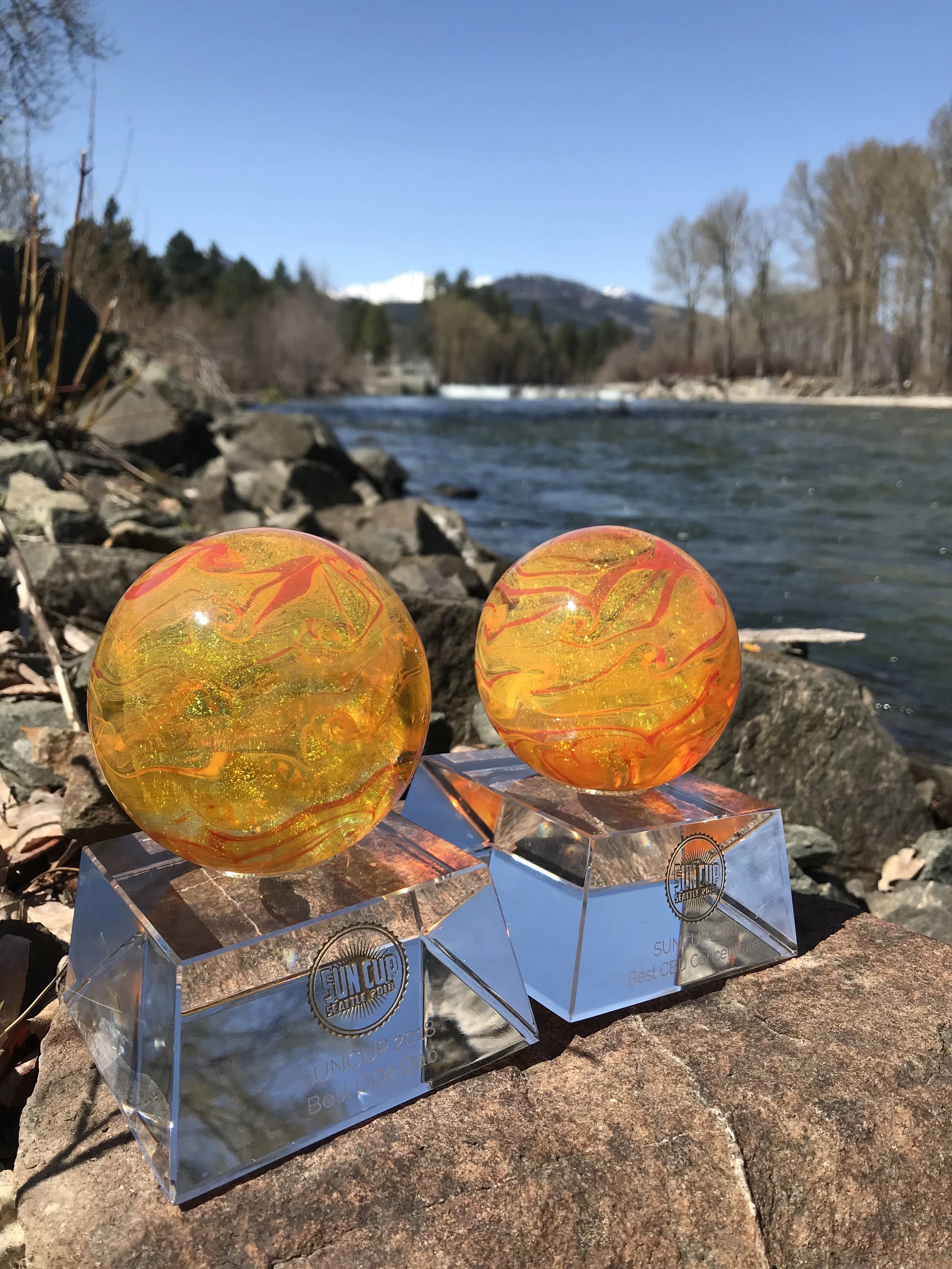 The Best Stuff Under The Sun: Winners of the Inaugural 2018 Sun Cup